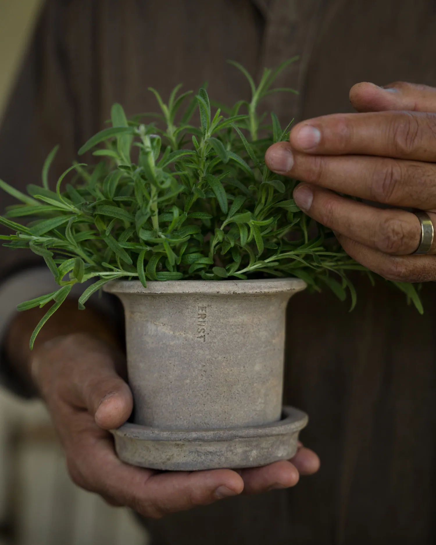 Ernst vaso de terracota com prato, Ø12x10 cm ERNST