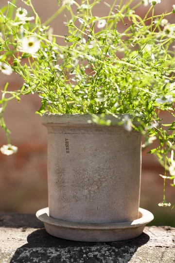 Ernst vaso de terracota com prato - Ø16x16 cm - ERNST