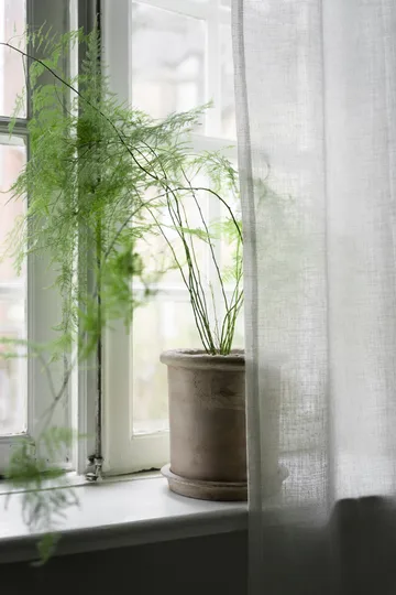 Ernst vaso de terracota com prato - Ø25x28 cm - ERNST