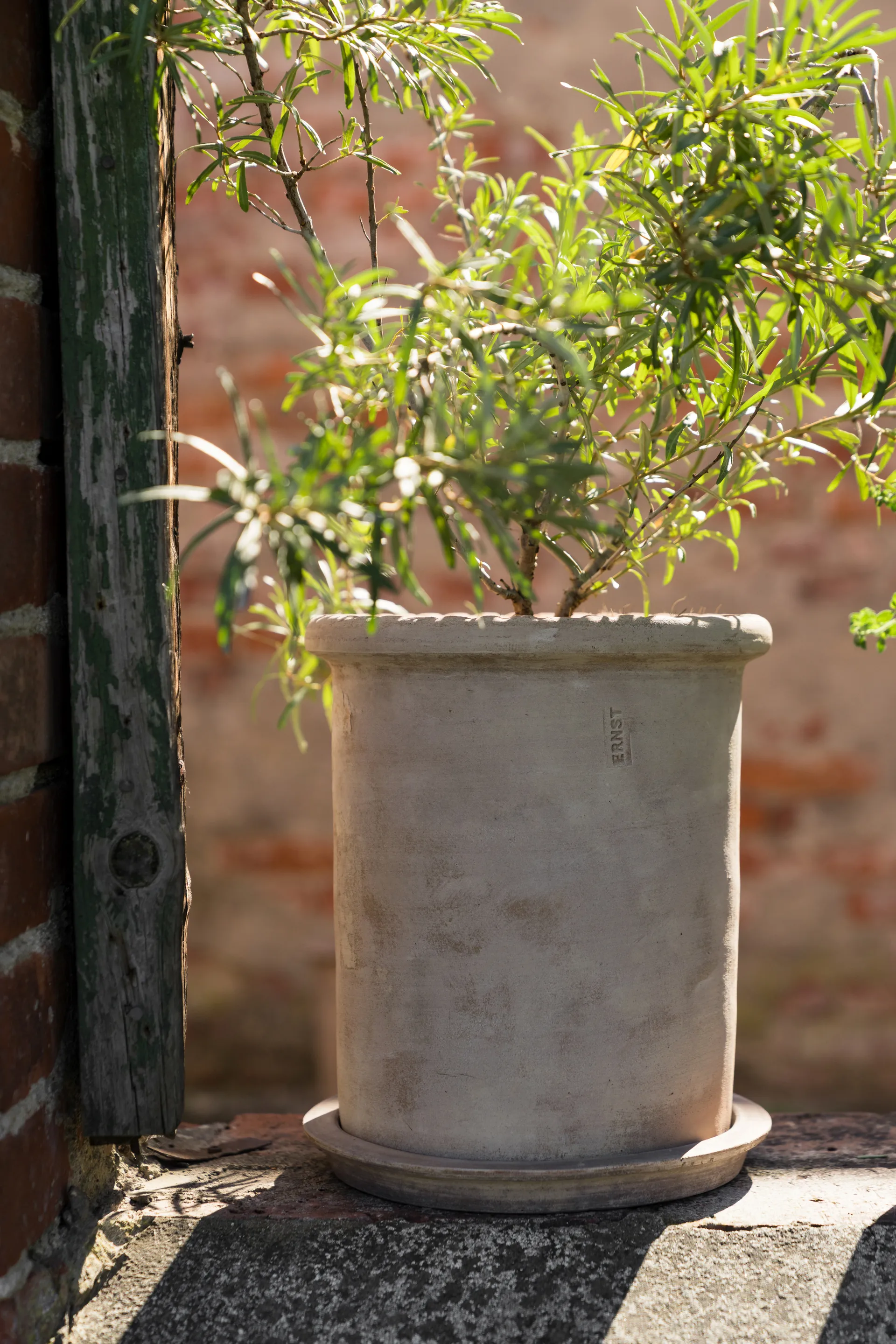 Ernst vaso de terracota com prato, Ø25x28 cm ERNST