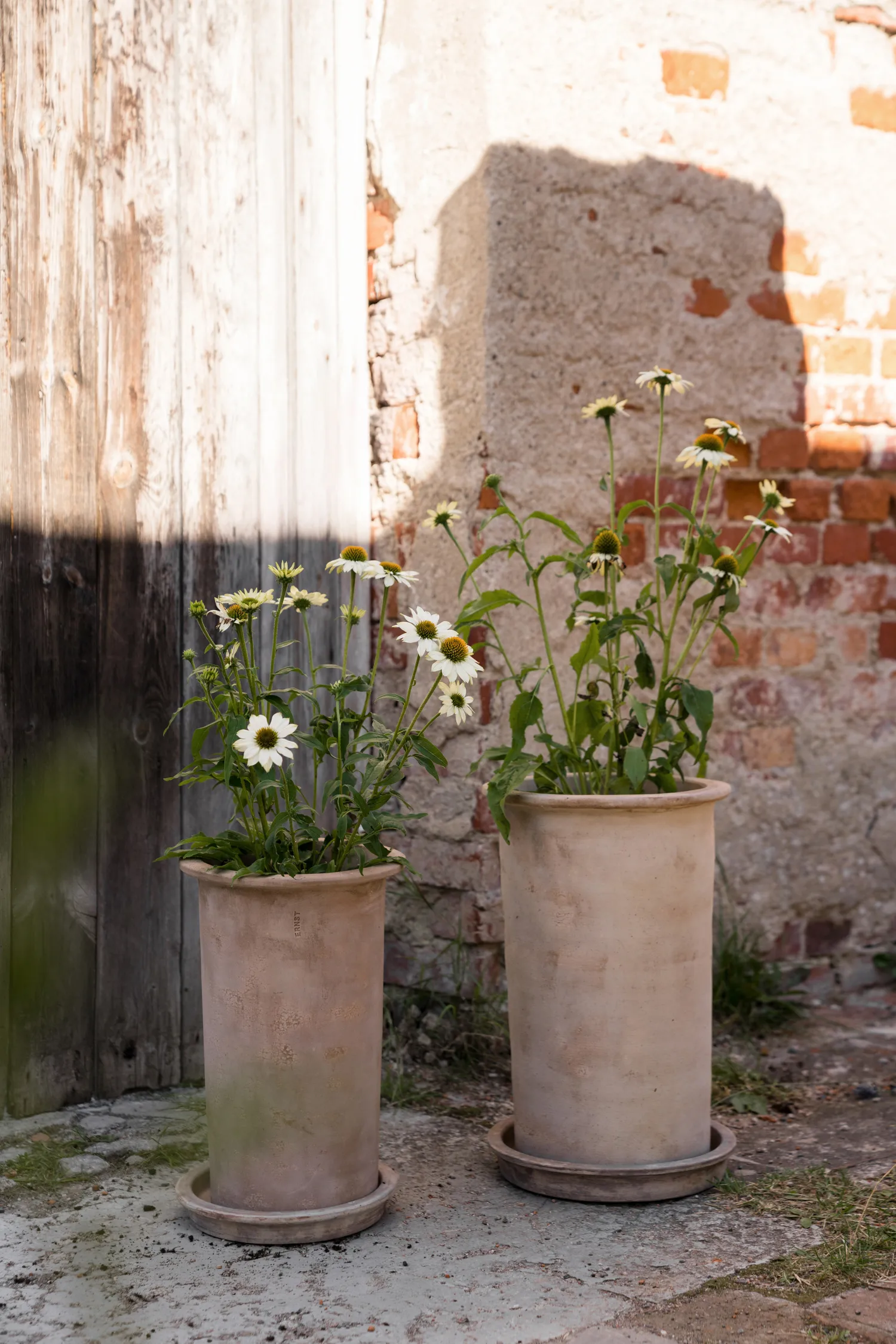 Ernst vaso de terracota com prato, Ø25x35 cm ERNST