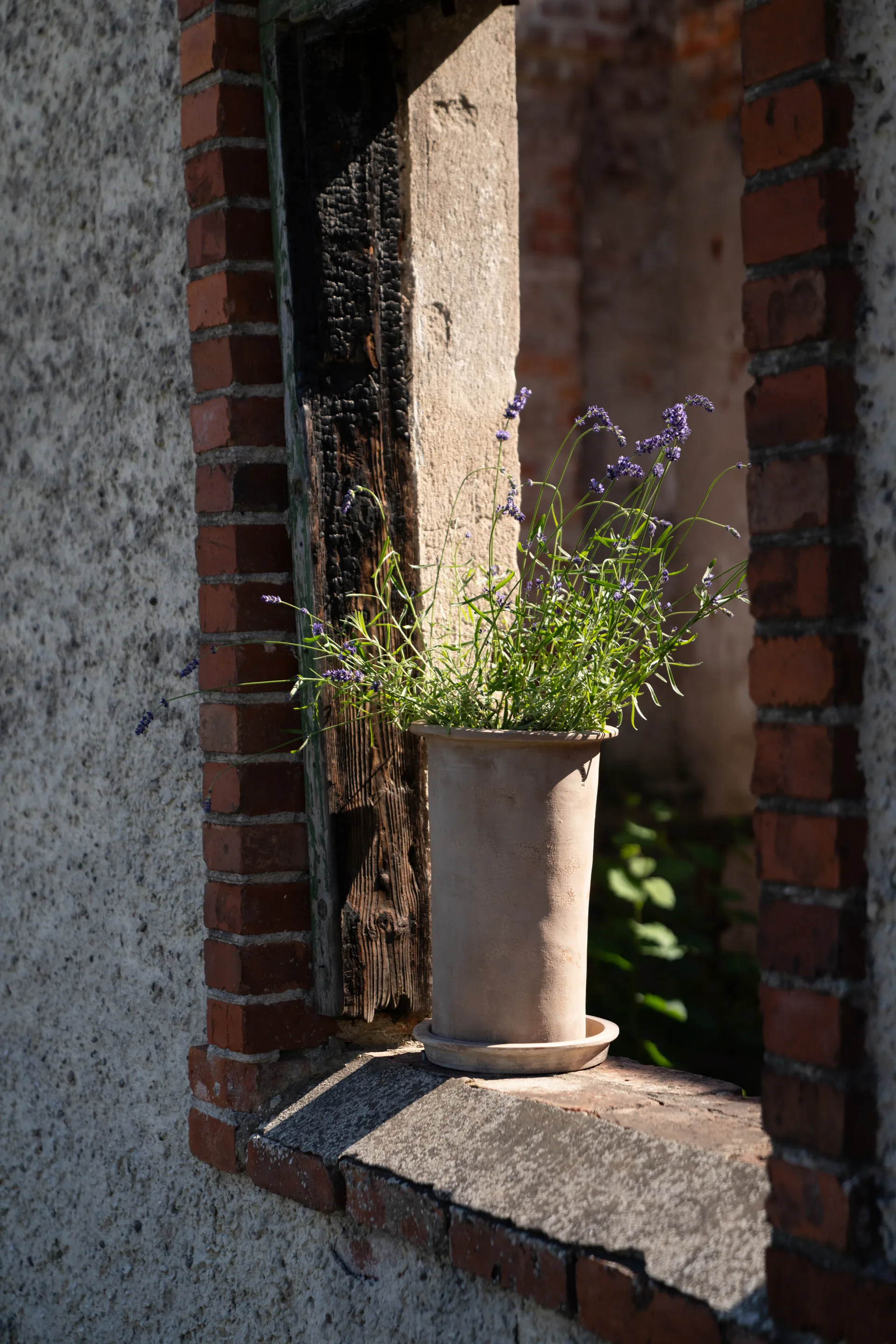 Ernst vaso de terracota com prato, Ø25x35 cm ERNST