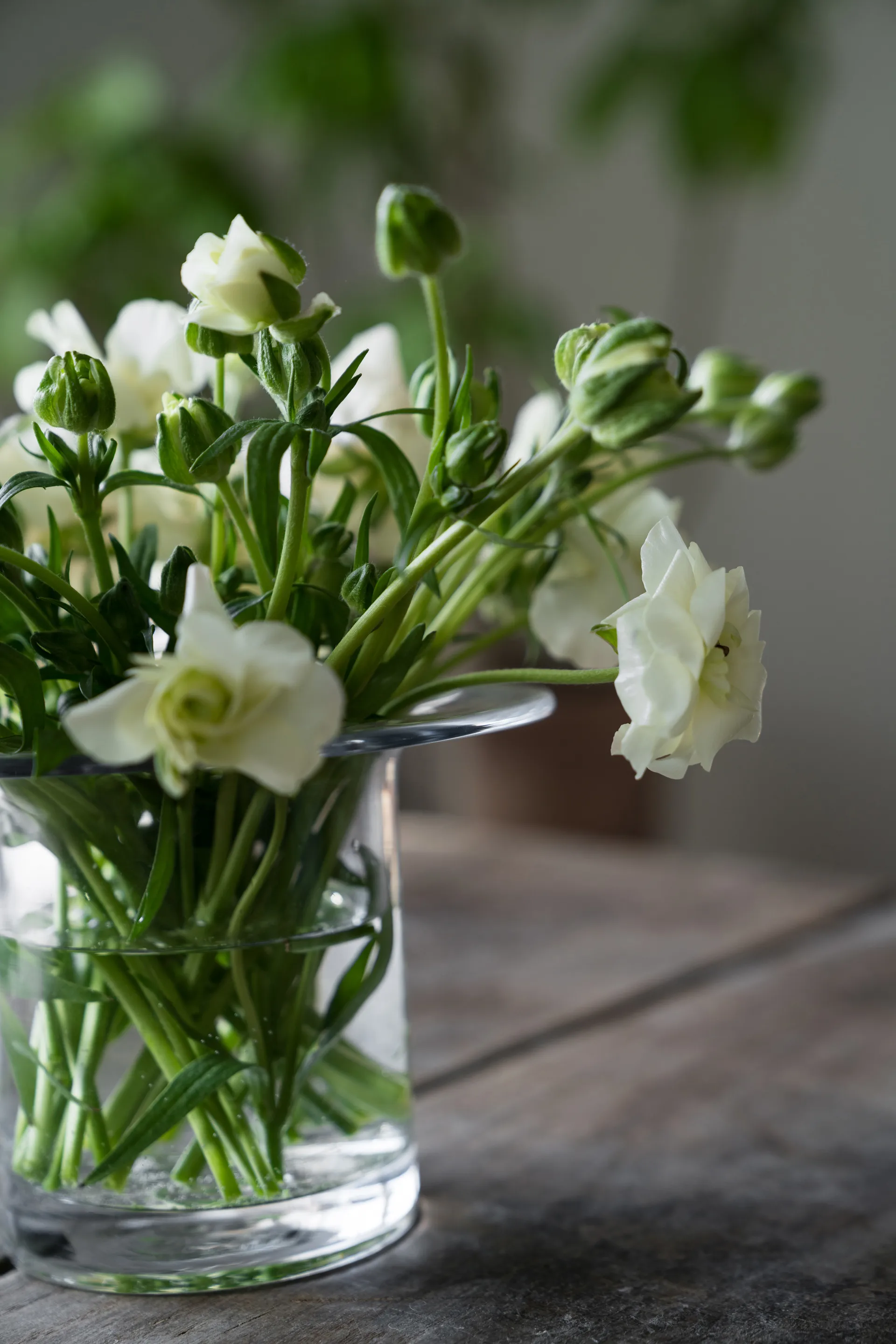 Ernst vaso de vidro Ø17 cm, A 13 cm ERNST