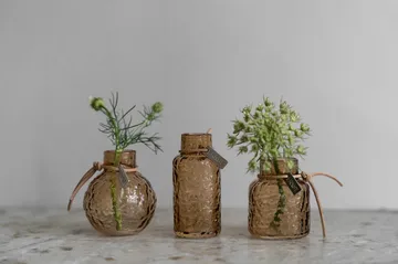 Ernst vaso estampado embalagem de presente 3 peças - Âmbar - ERNST