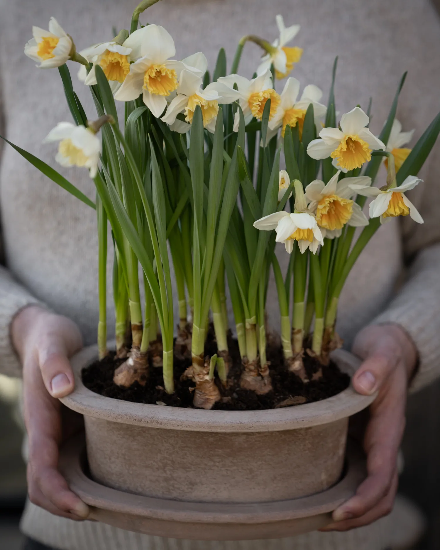 Vaso de flores Ernst oval 2 peças, Marrom ERNST