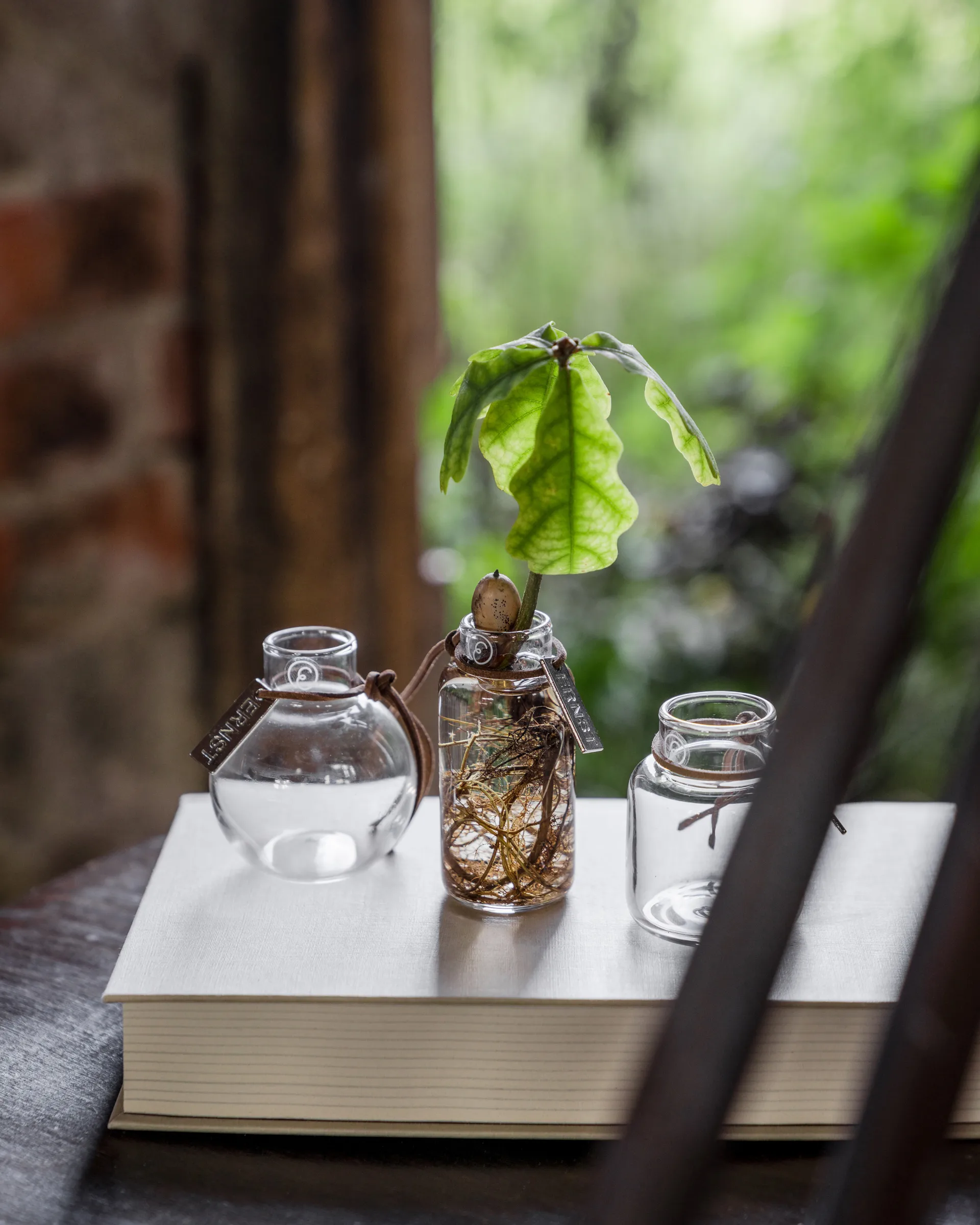 Vaso Ernst conjunto de presente 3 peças, Claro ERNST