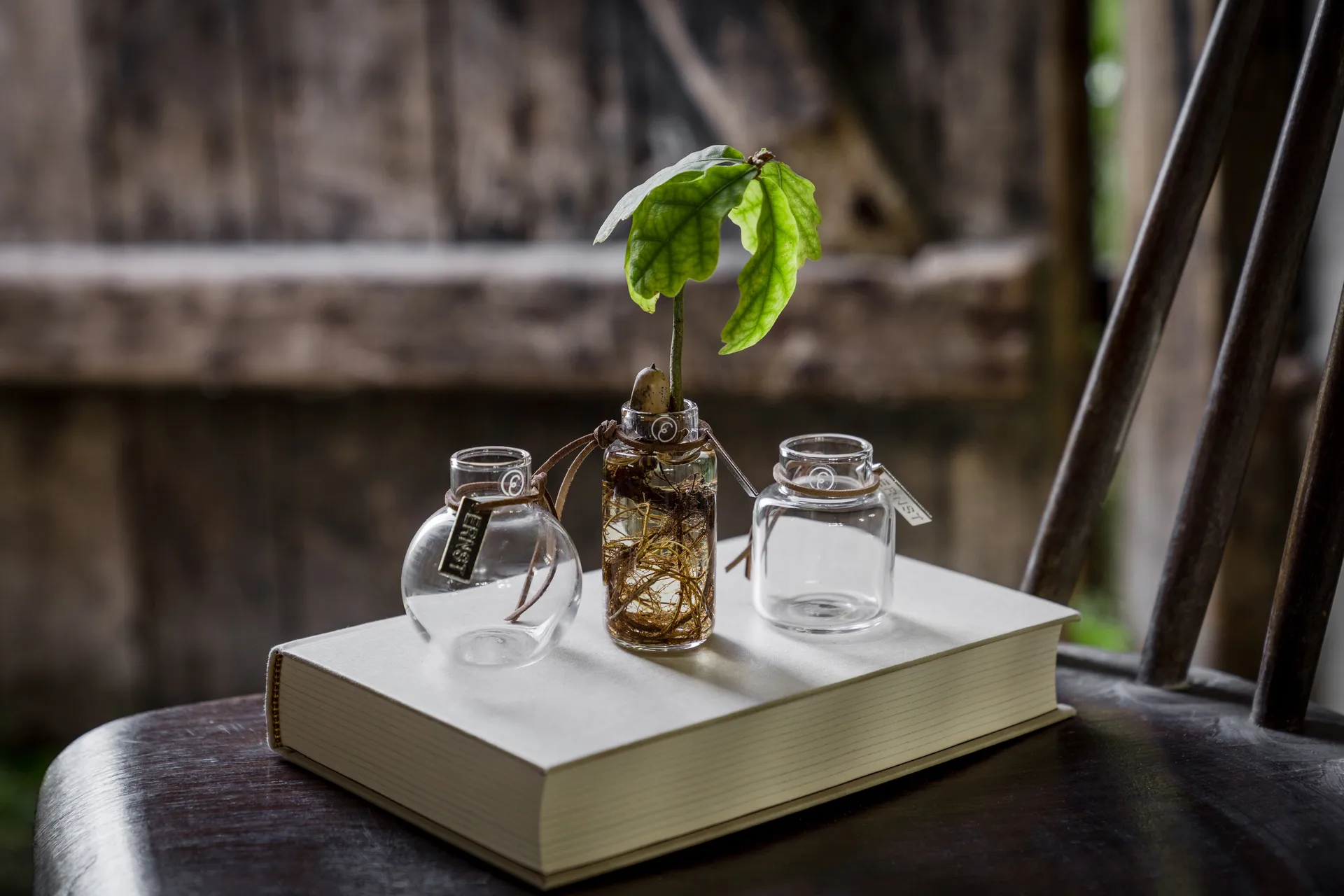 Vaso Ernst conjunto de presente 3 peças, Claro ERNST