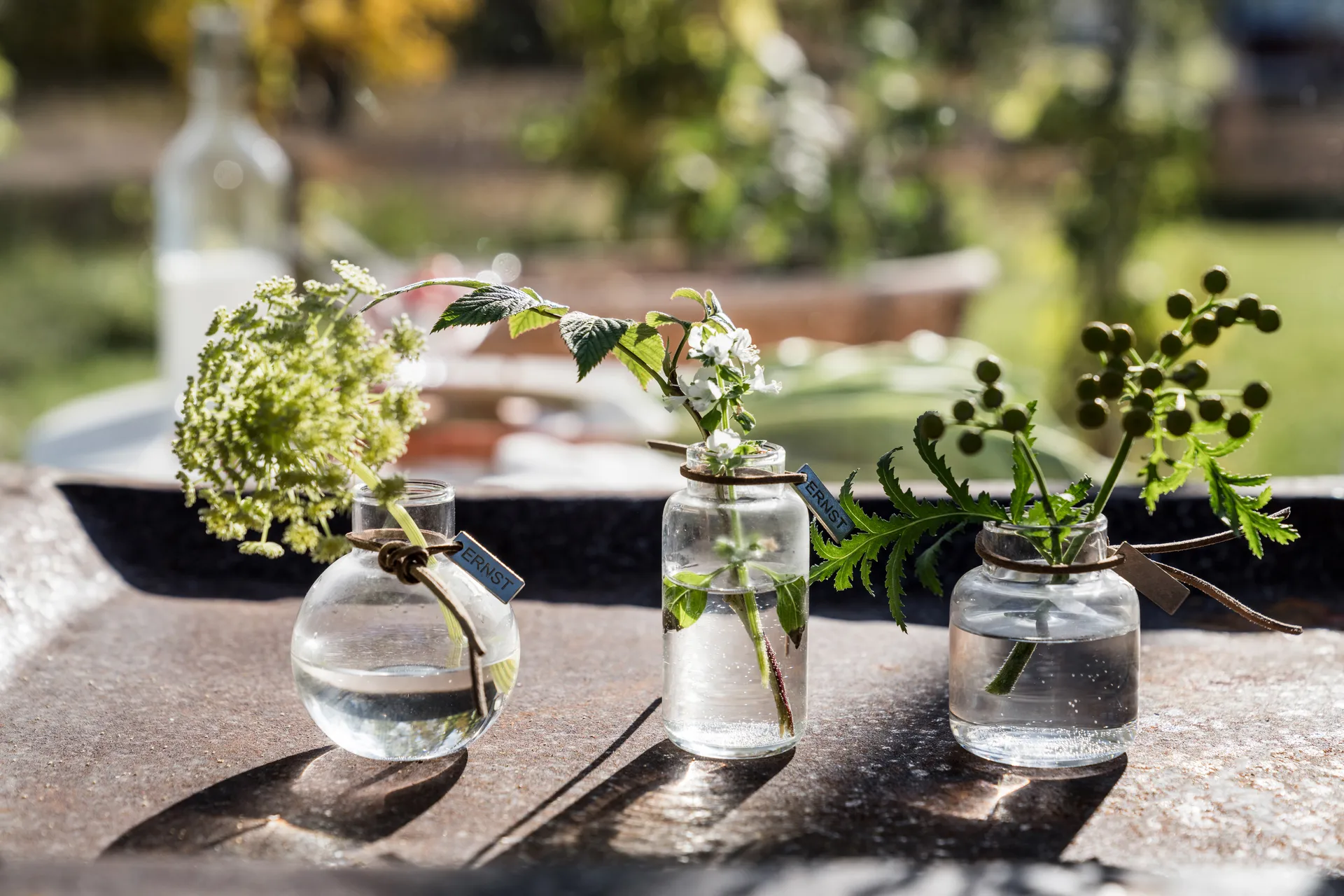 Vaso Ernst conjunto de presente 3 peças, Claro ERNST