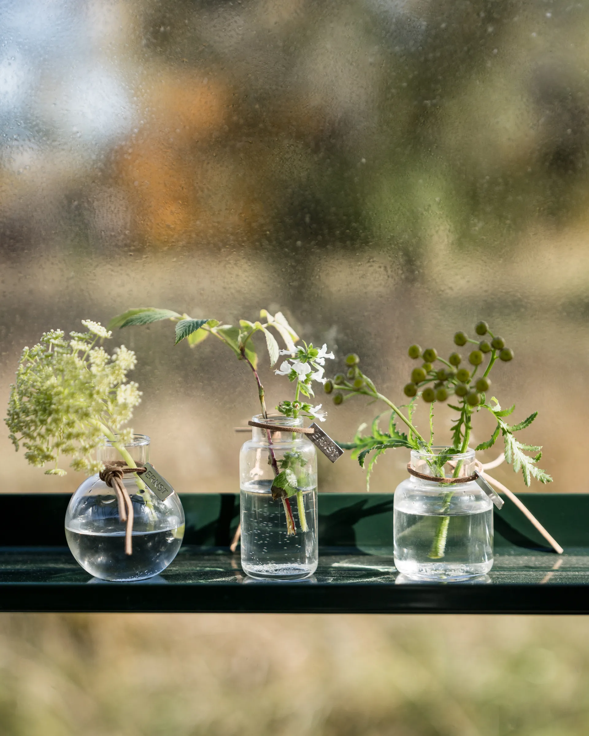 Vaso Ernst conjunto de presente 3 peças, Claro ERNST