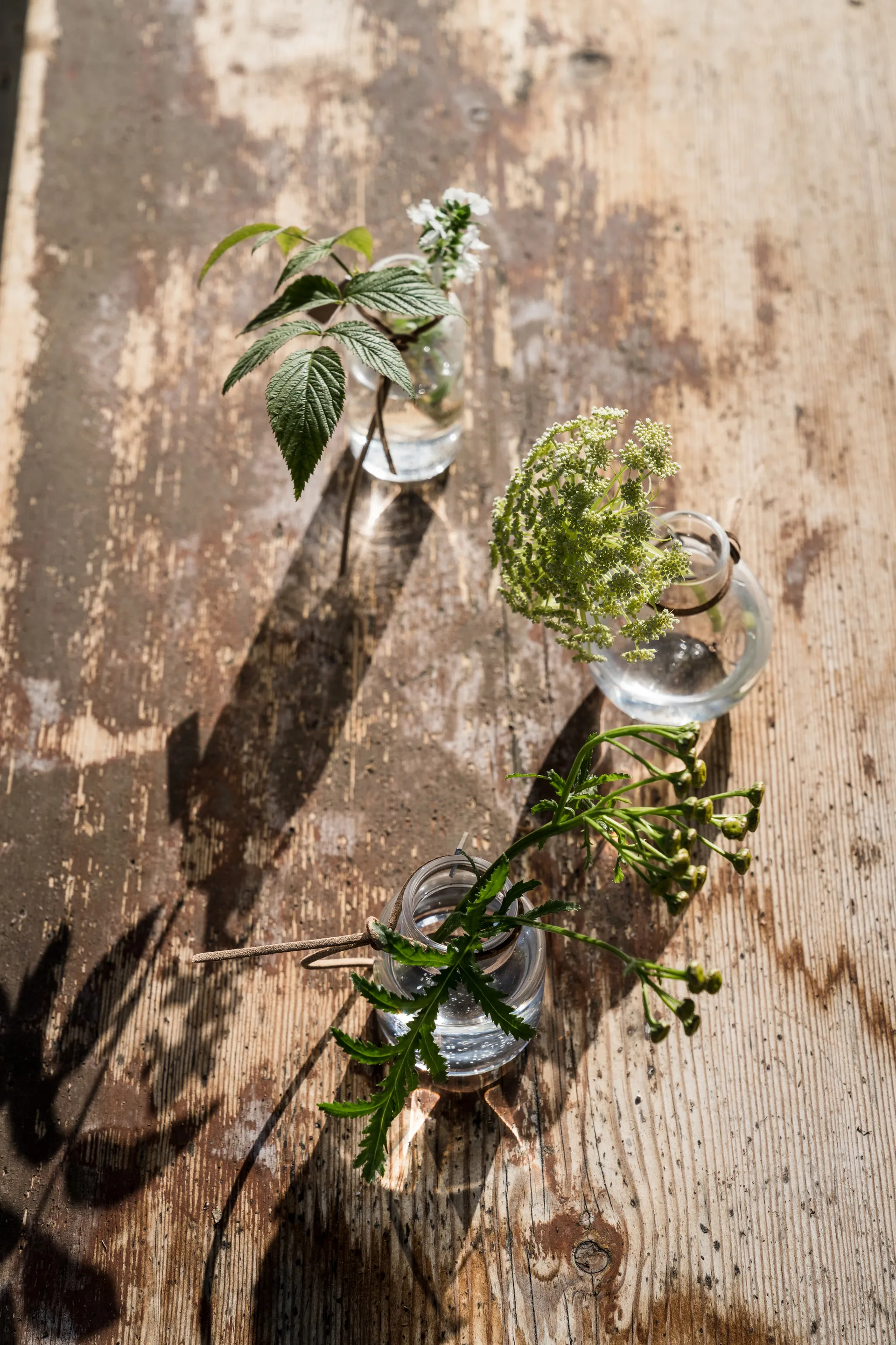 Vaso Ernst conjunto de presente 3 peças, Claro ERNST