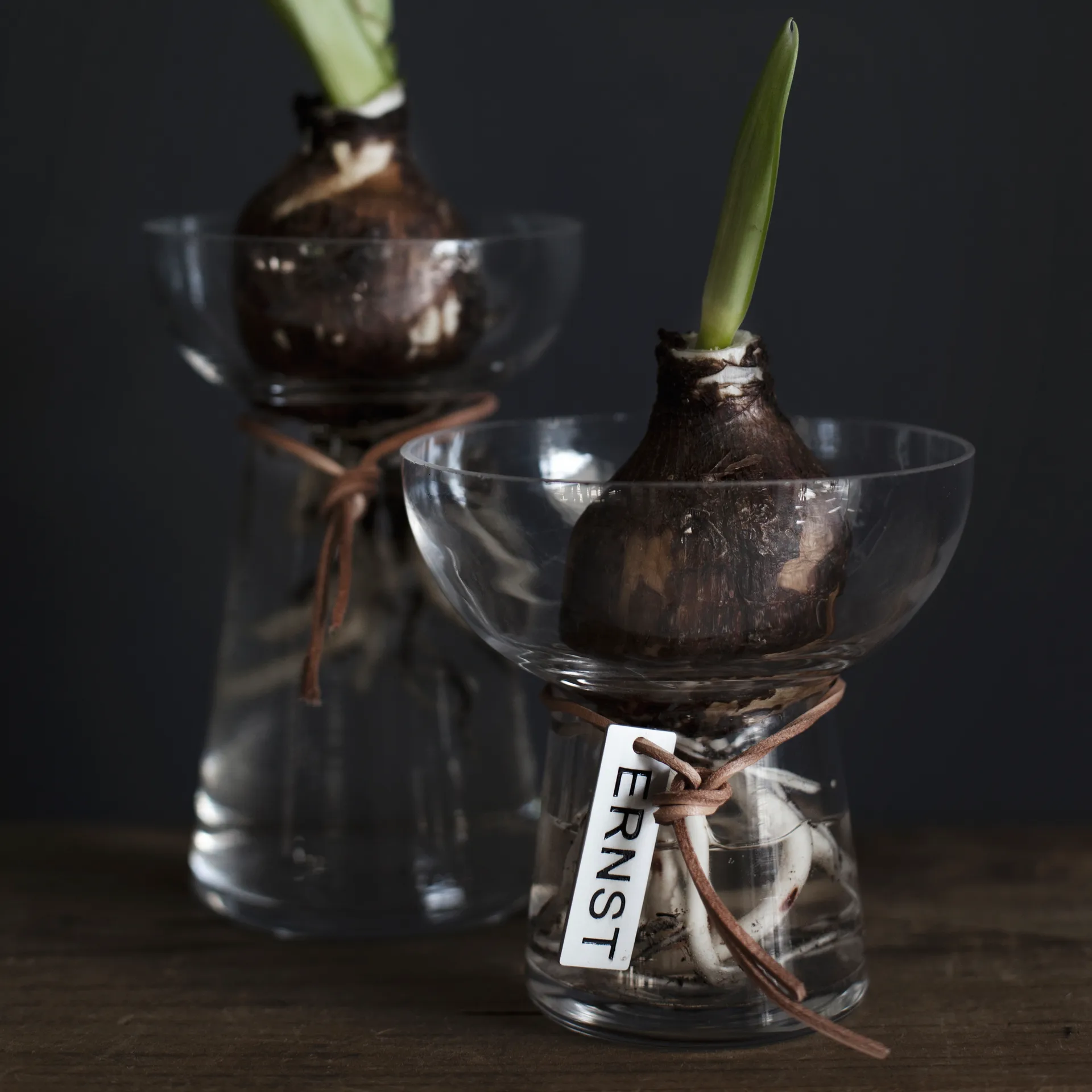 Vaso Ernst Hyacinth 11 cm, Clear ERNST