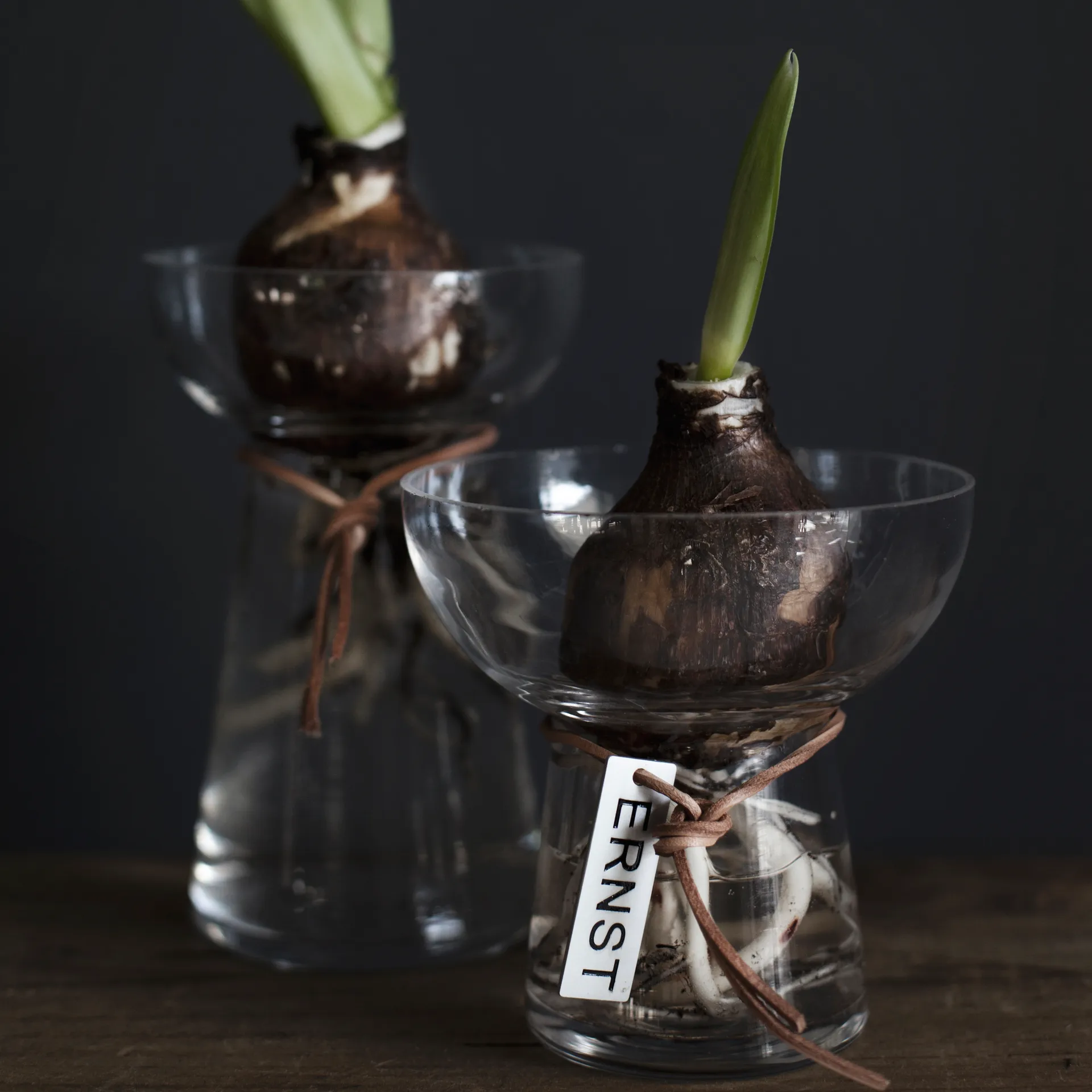 Vaso Ernst Hyacinth 15 cm, Clear ERNST