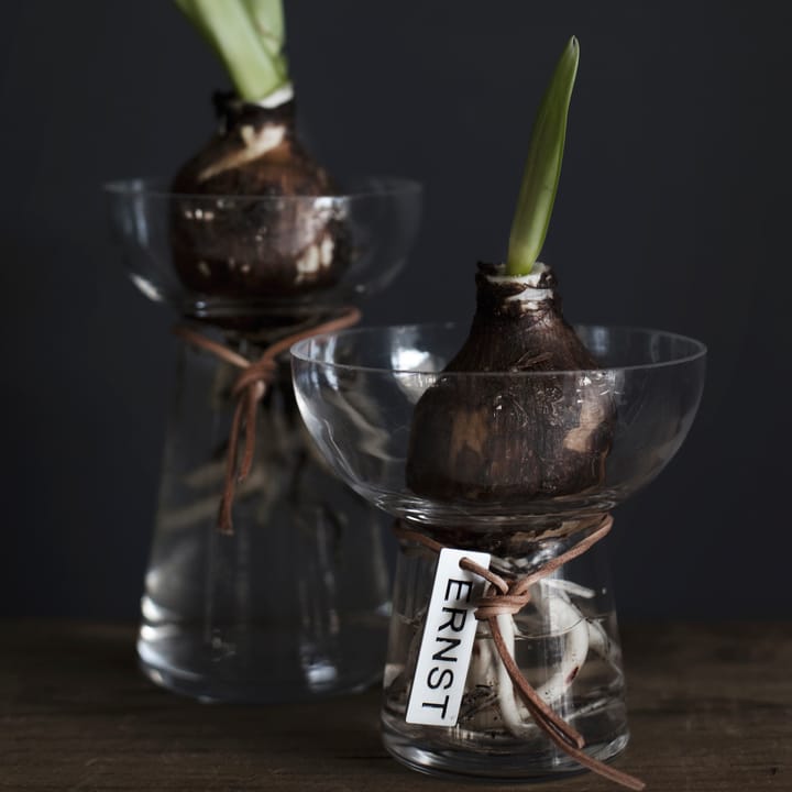Vaso Ernst Hyacinth 15 cm, Clear ERNST