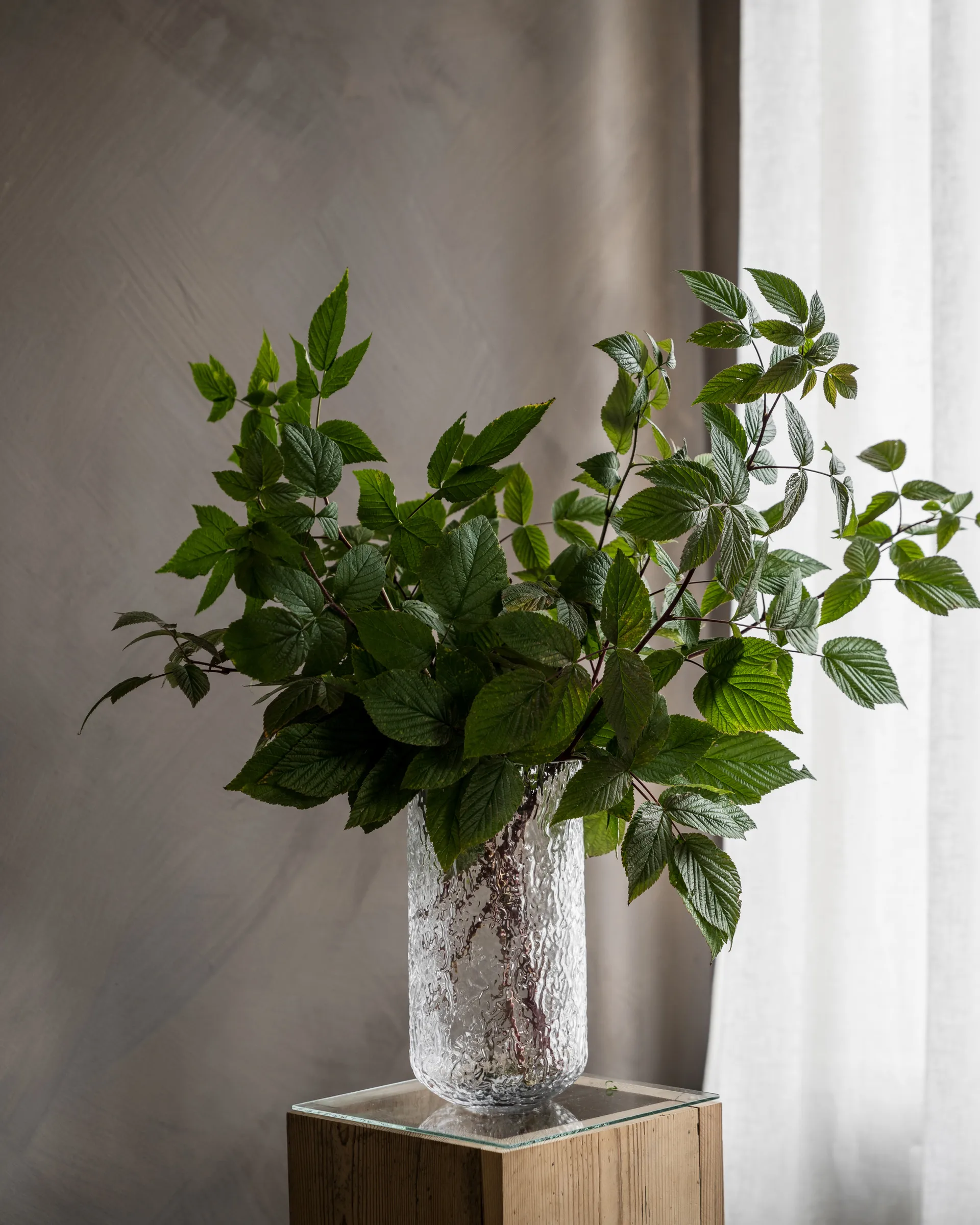 Vaso Ernst25 cm, Claro ERNST