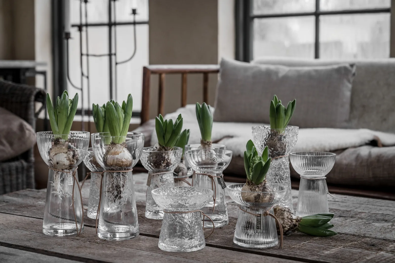 Vaso para bolbos de vidro Ernst, 19 cm ERNST