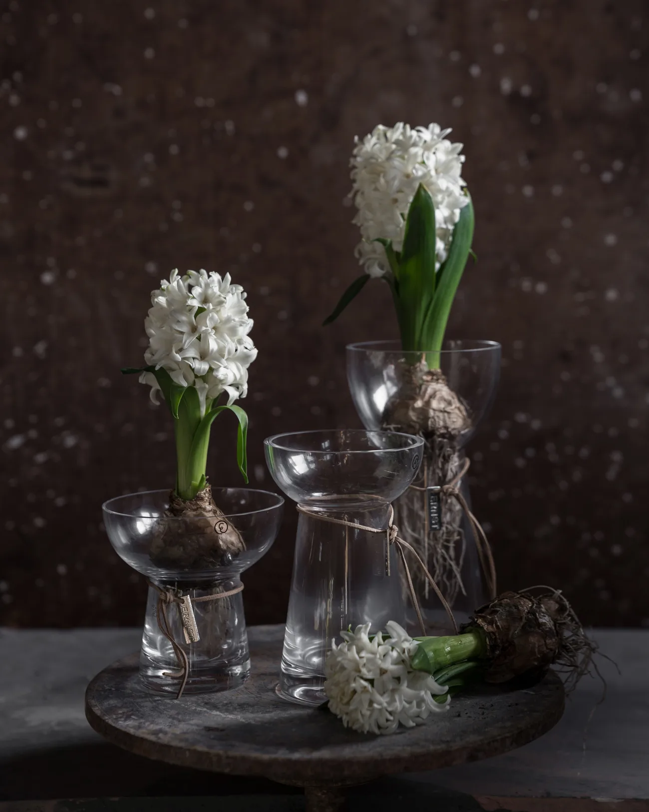 Vaso para bolbos de vidro Ernst, 19 cm ERNST