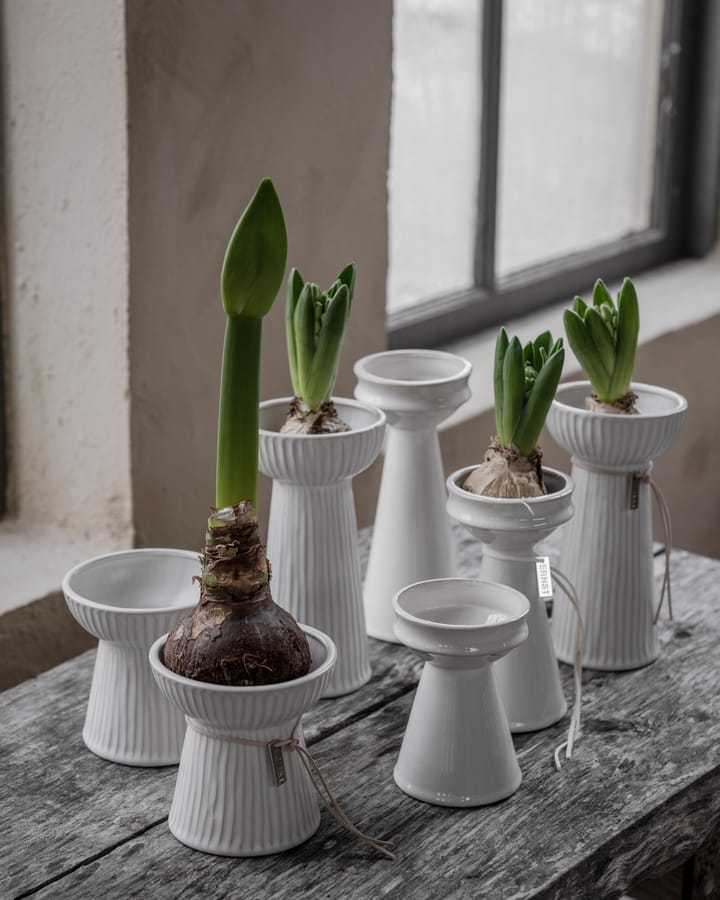 Vaso para bolbos Ernst 16 cm, Branco natural ERNST