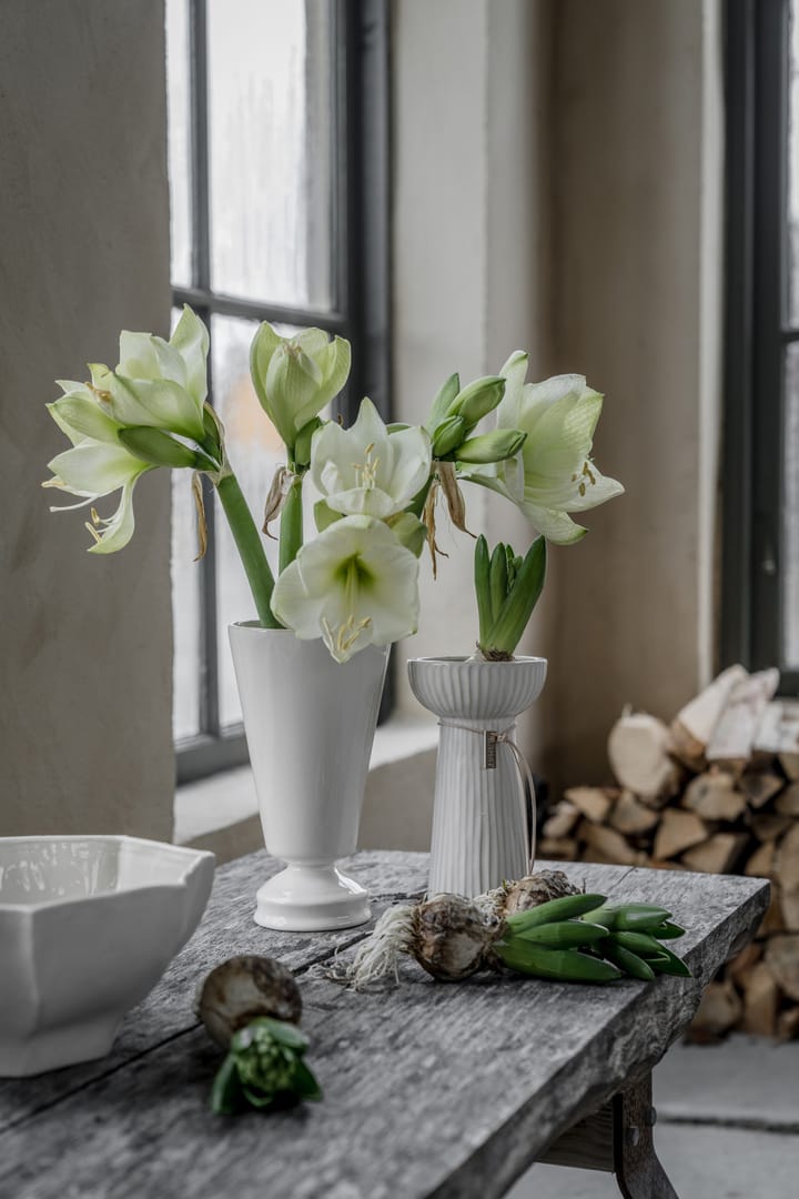 Vaso para bolbos Ernst canelado 19 cm, Branco natural ERNST