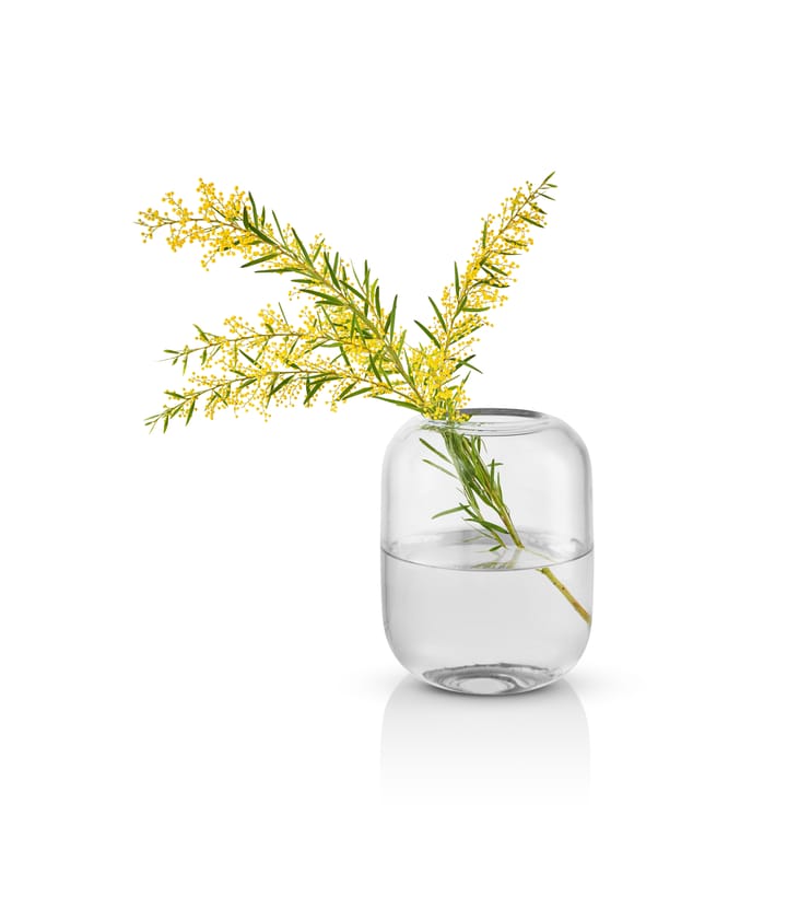 Acorn vaso 16.5 cm, Transparente Eva Solo