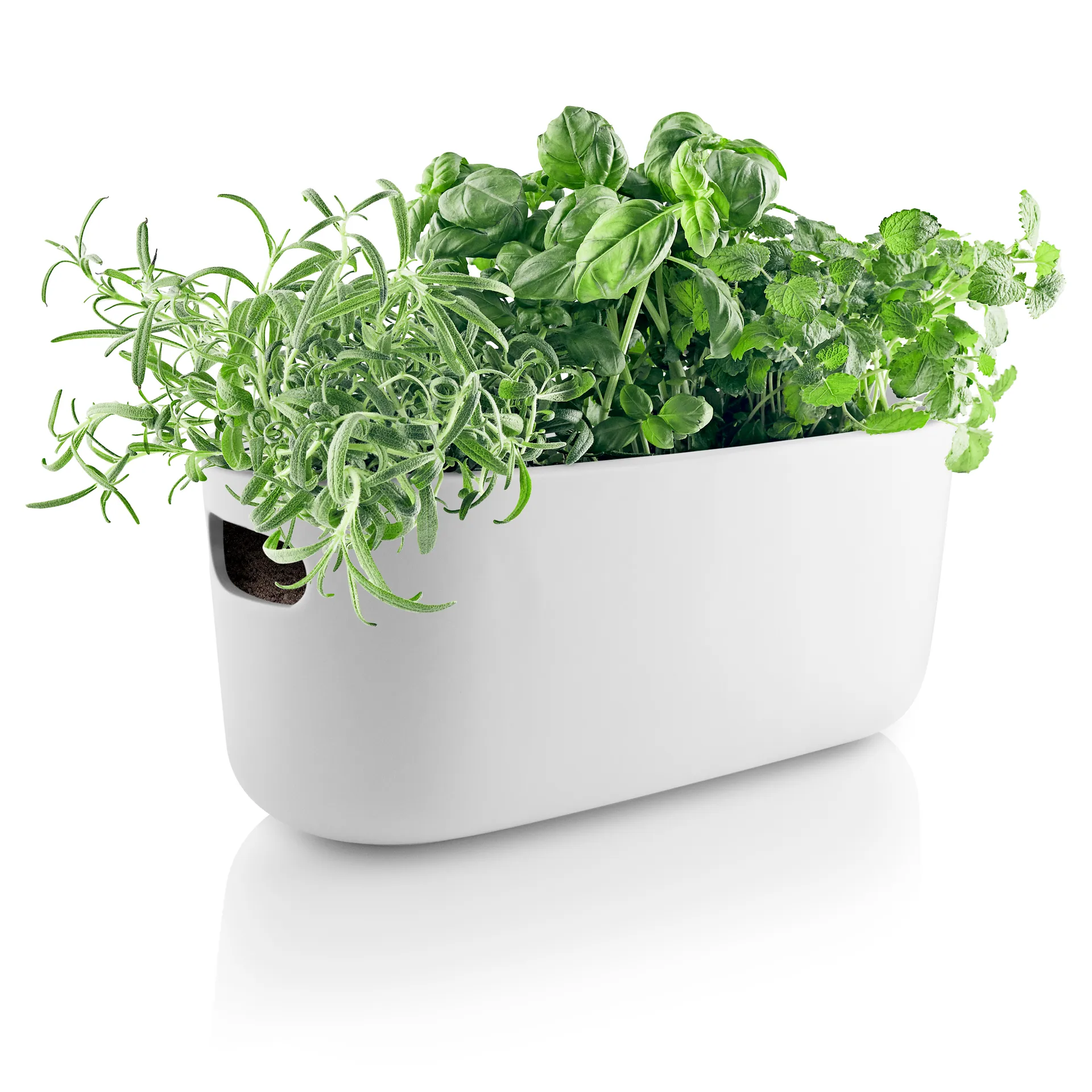 Vaso de ervas com auto-irrigação Eva Solo, branco Eva Solo