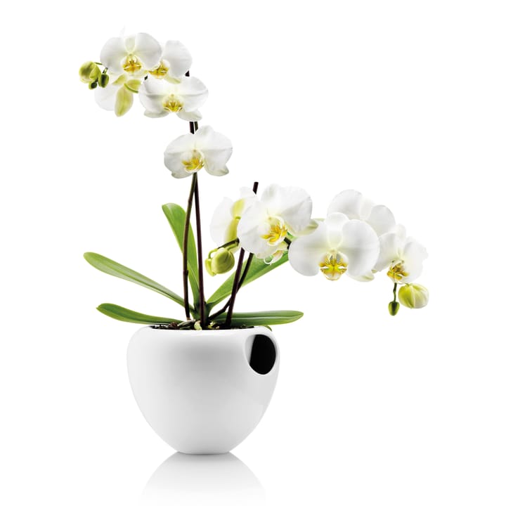 Vaso de orquídeas Eva Solo, branco Eva Solo