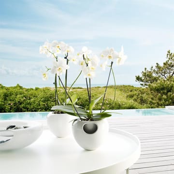 Vaso de orquídeas Eva Solo - branco - Eva Solo