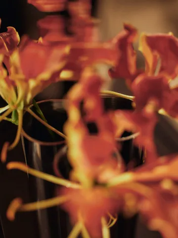 Eddy vaso de parede - Aço inoxidável polido espelhado - Ferm Living