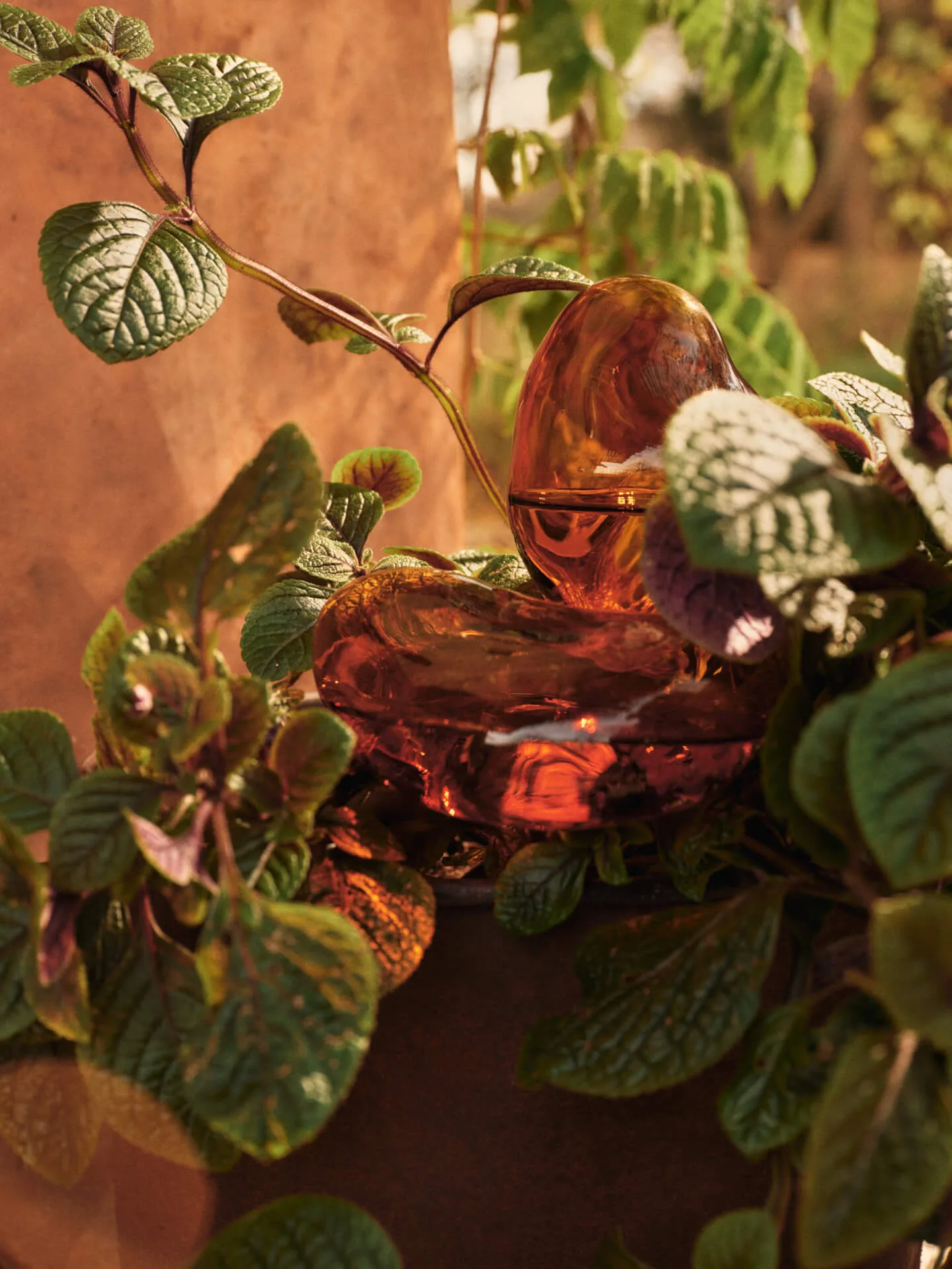 Globo de irrigação de plantas Mercury 2 unid., Âmbar, 15x24 cm Ferm Living