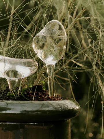 Globo de irrigação de plantas Mercury 2 unid. - Clear, 15x24 cm - Ferm Living