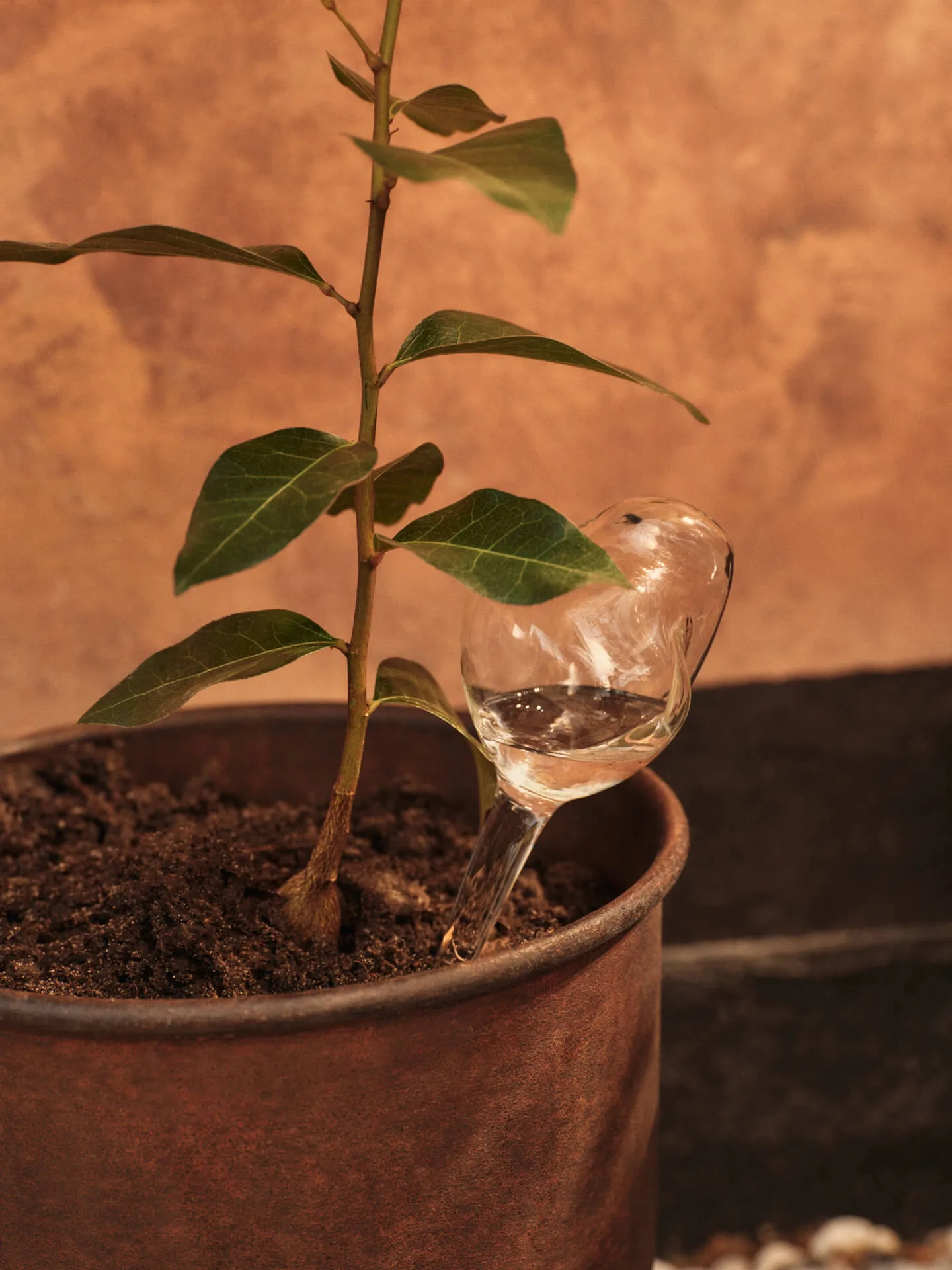 Globo de irrigação de plantas Mercury 2 unid., Transparente, 12x18,5 cm Ferm Living