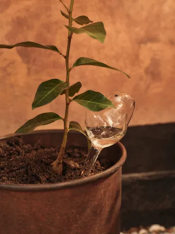 Globo de irrigação de plantas Mercury 2 unid. - Transparente, 12x18,5 cm - Ferm Living