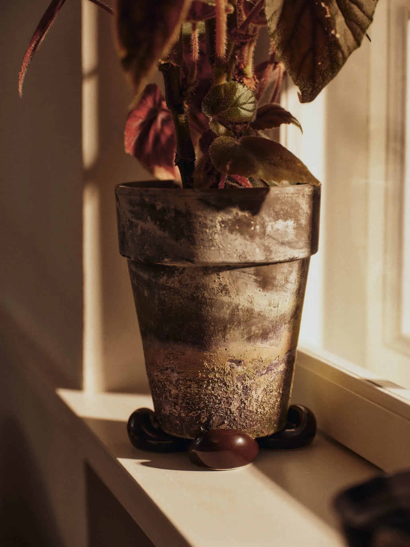 Pés Nube para vaso, conjunto de 4, Carob brown Ferm Living