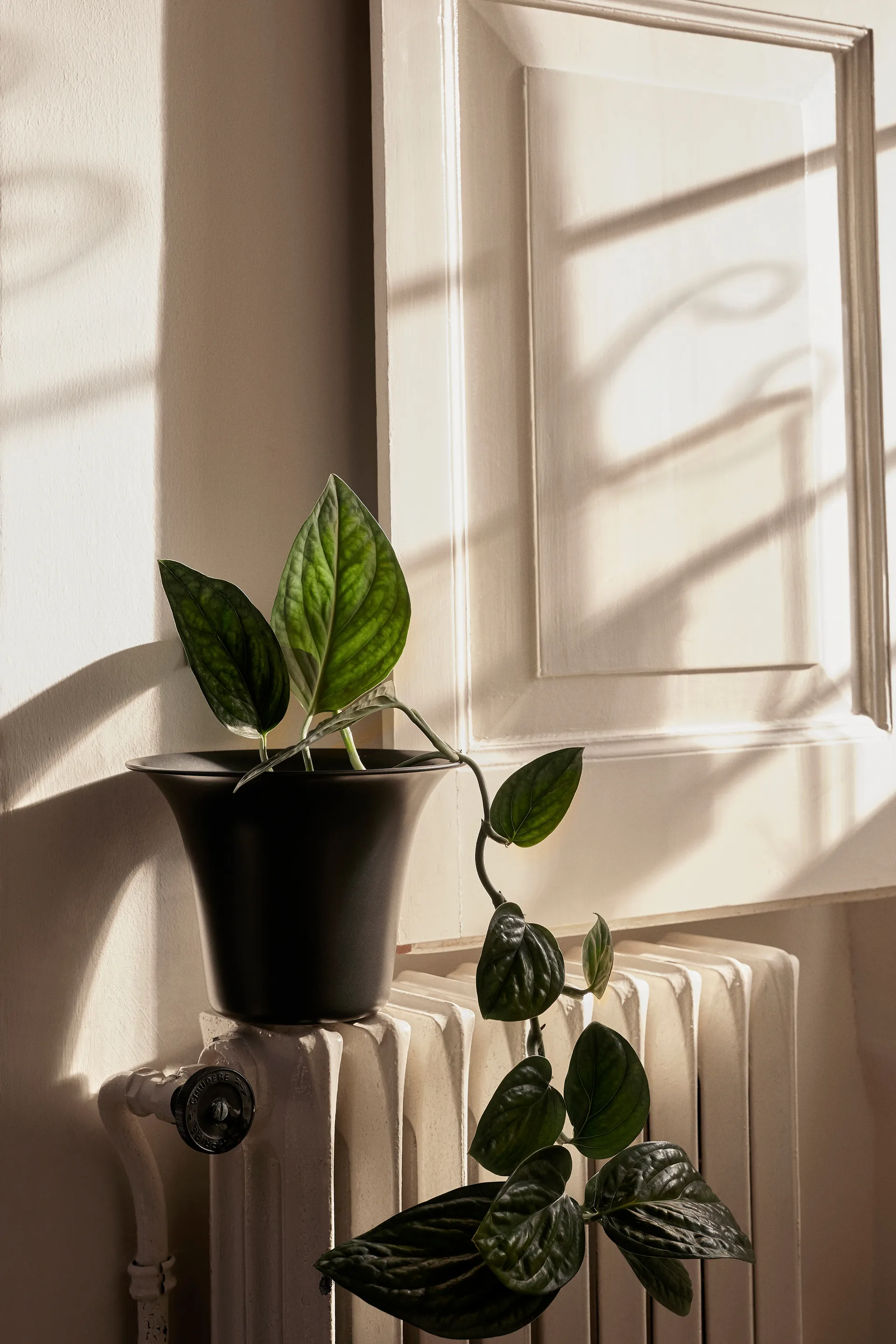 Spun Alu pote de flores Ø24x17,5 cm, alumínio escurecido Ferm Living