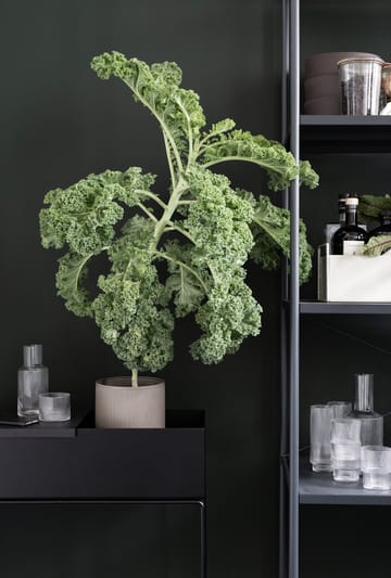 Vaso para plantas Ferm living - black (preto) - ferm LIVING