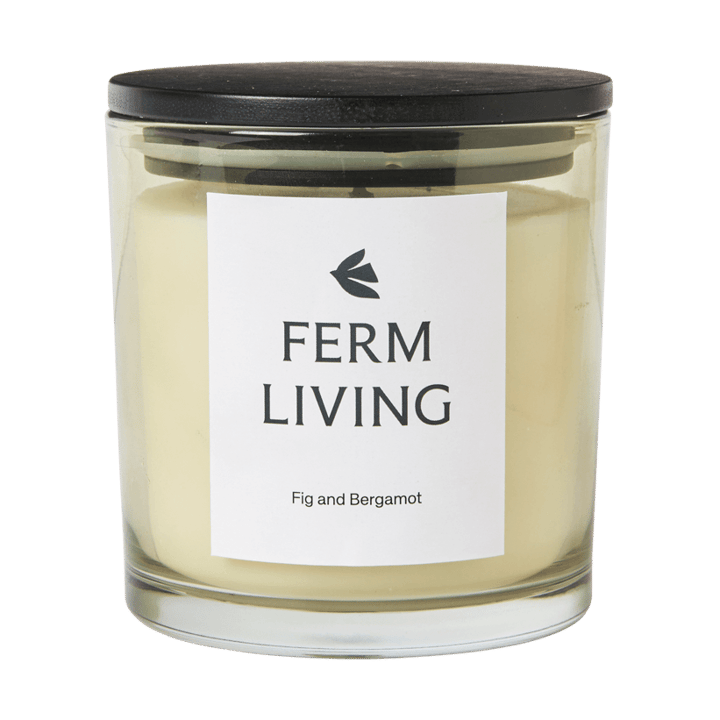 Vitto vela perfumada 45 h - Celadon claro - Ferm Living