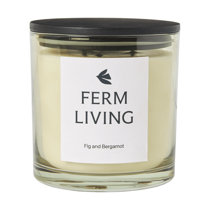Vitto vela perfumada 50 h - Celadon claro - Ferm Living