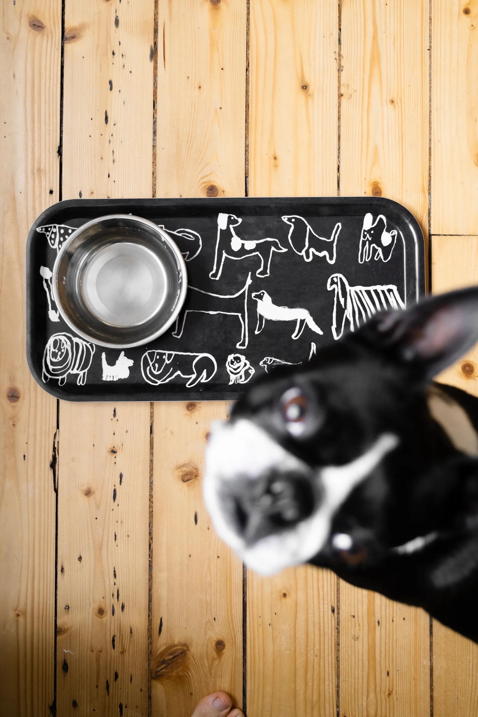 Dogs tabuleiro 22x43 cm, Preto-branco Fine Little Day