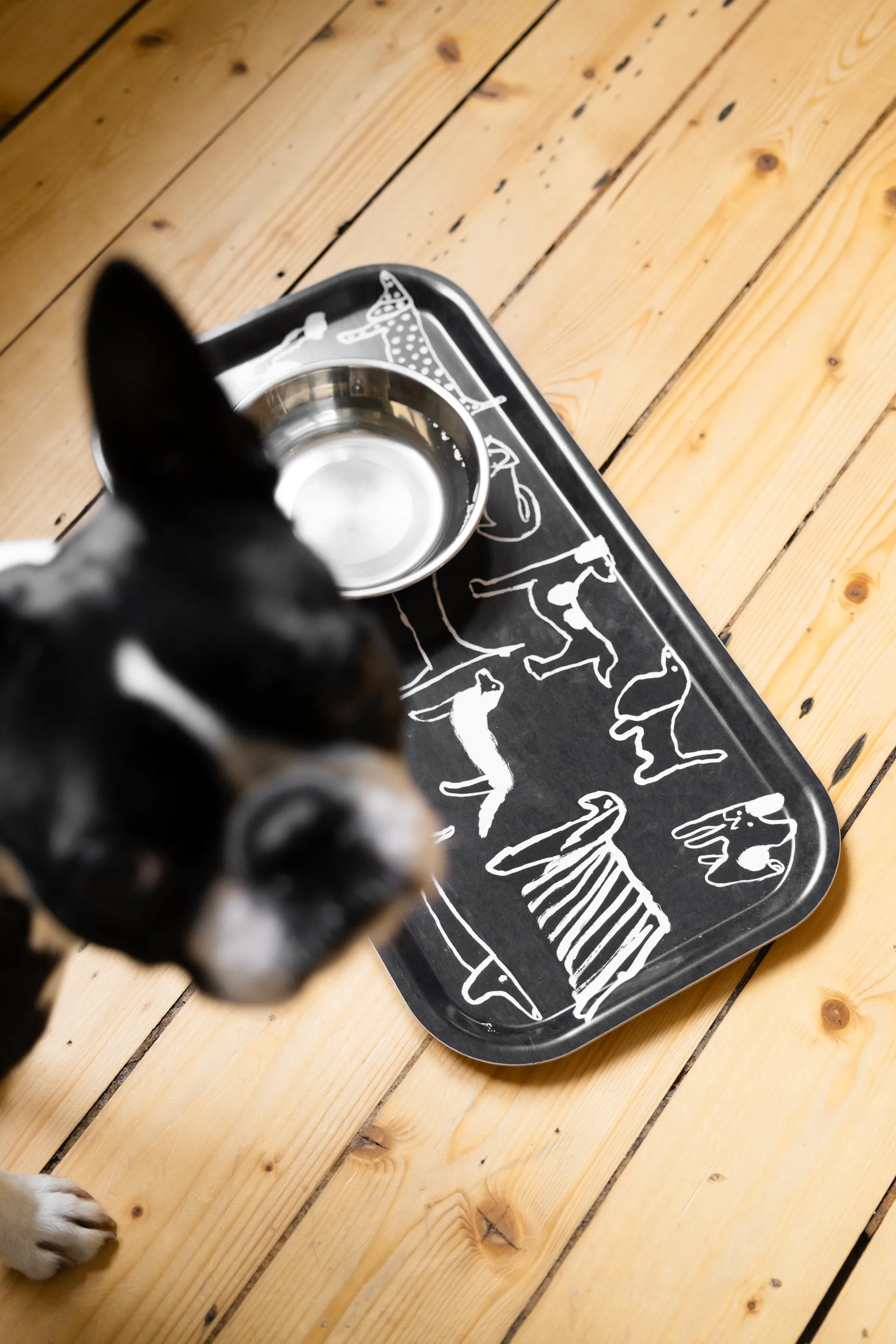 Dogs tabuleiro 22x43 cm, Preto-branco Fine Little Day