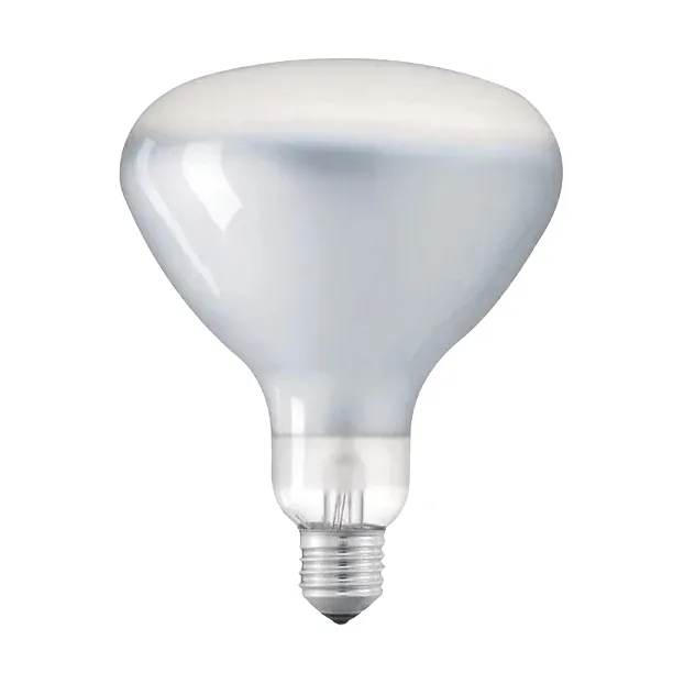 LED R125 lâmpada E27 - 2700 K 1180 lm 12 W - Flos
