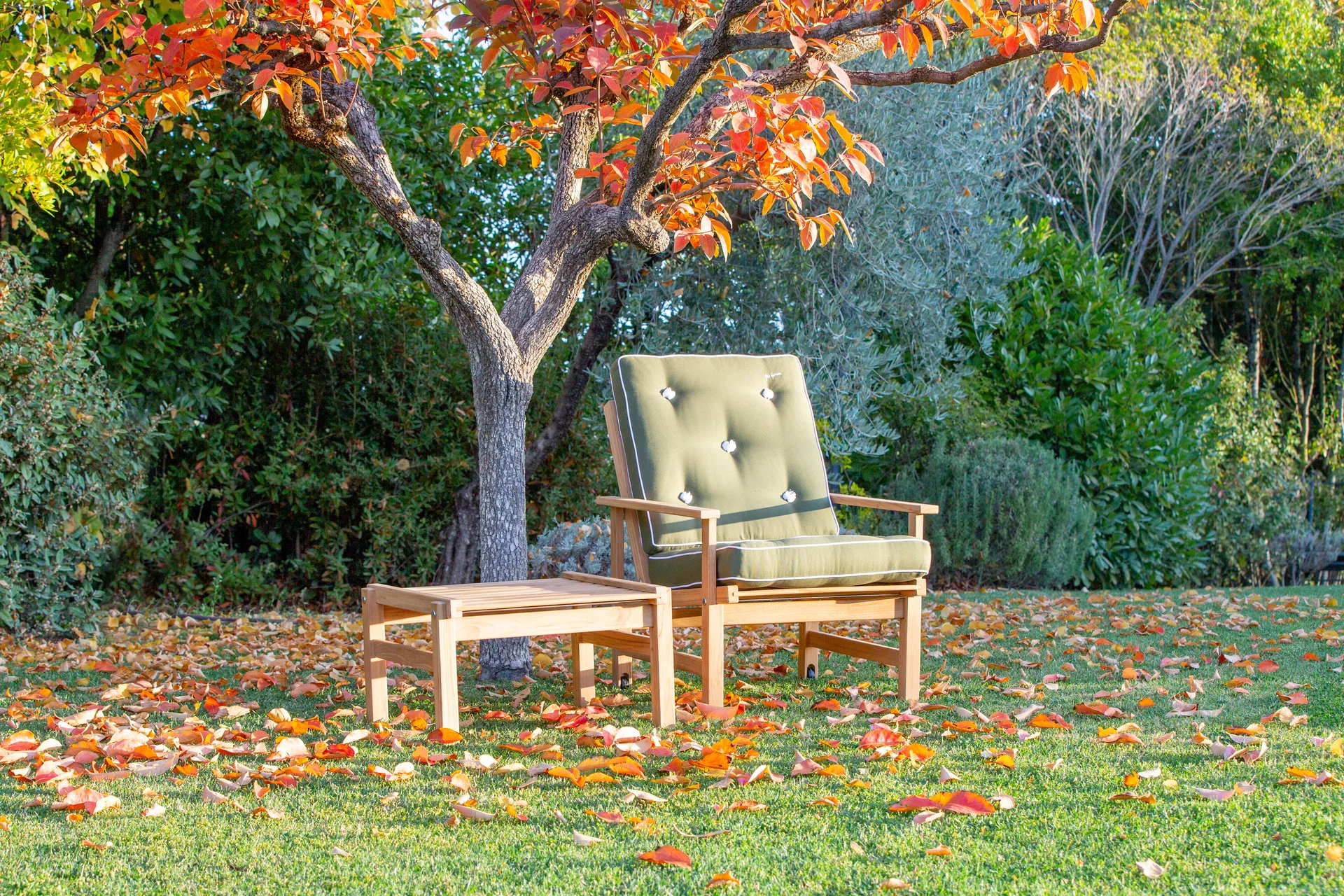 05 poltrona, Teca Fri Form