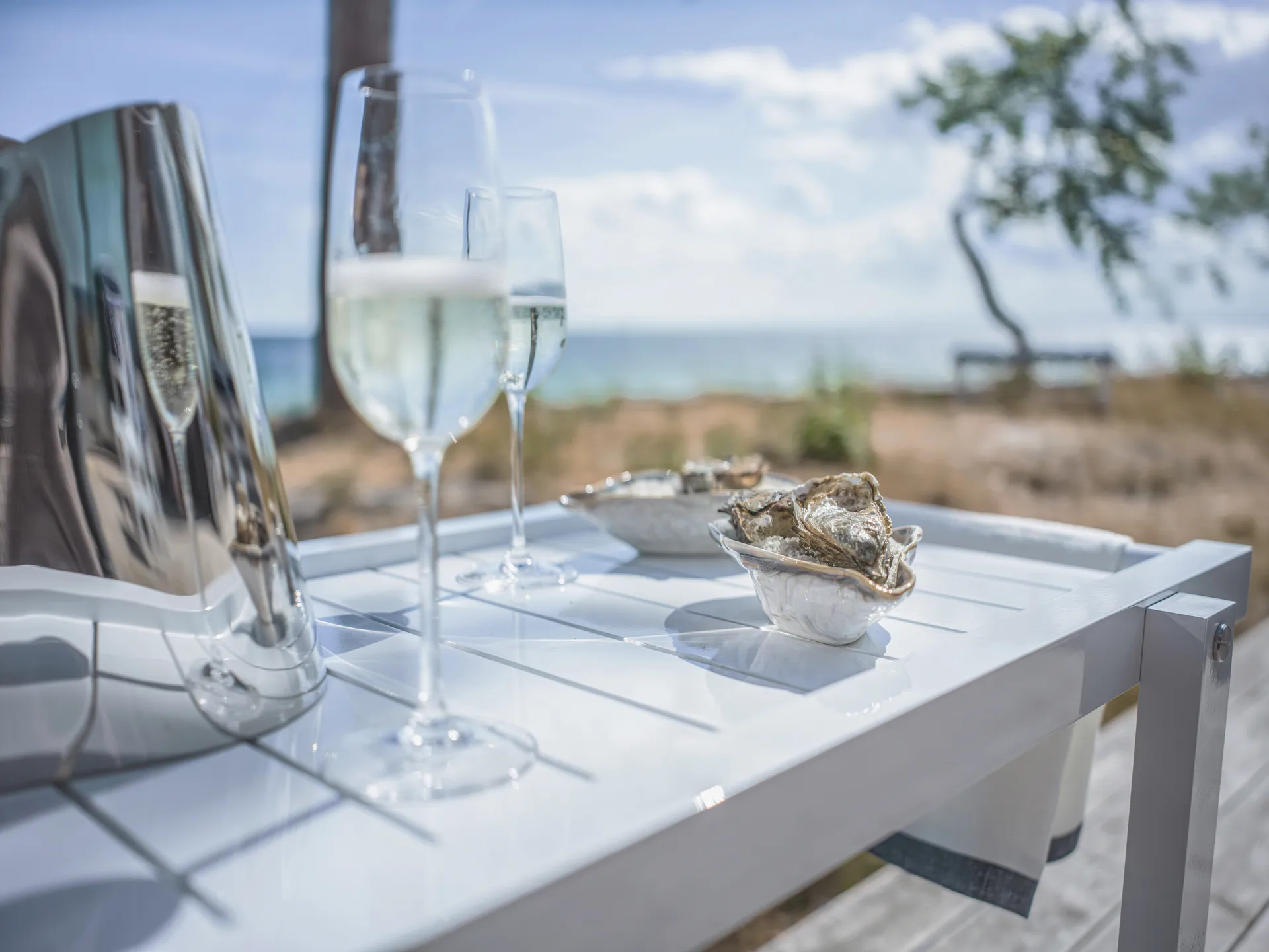 14 carrinho de servir, White Fri Form