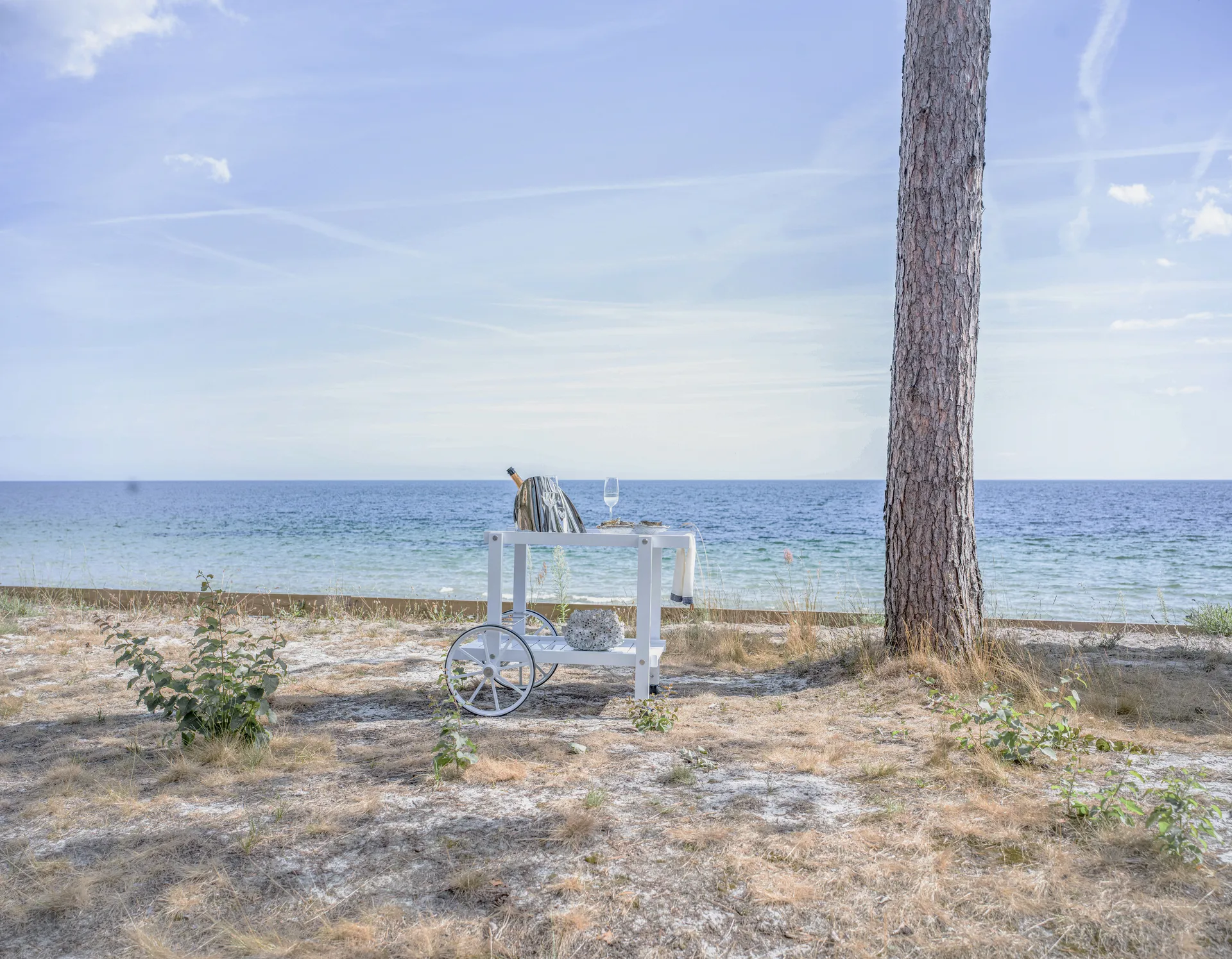 14 carrinho de servir, White Fri Form