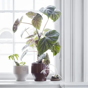 Edge pote (interior) Ø18 cm - Vermelho queimado - Fritz Hansen