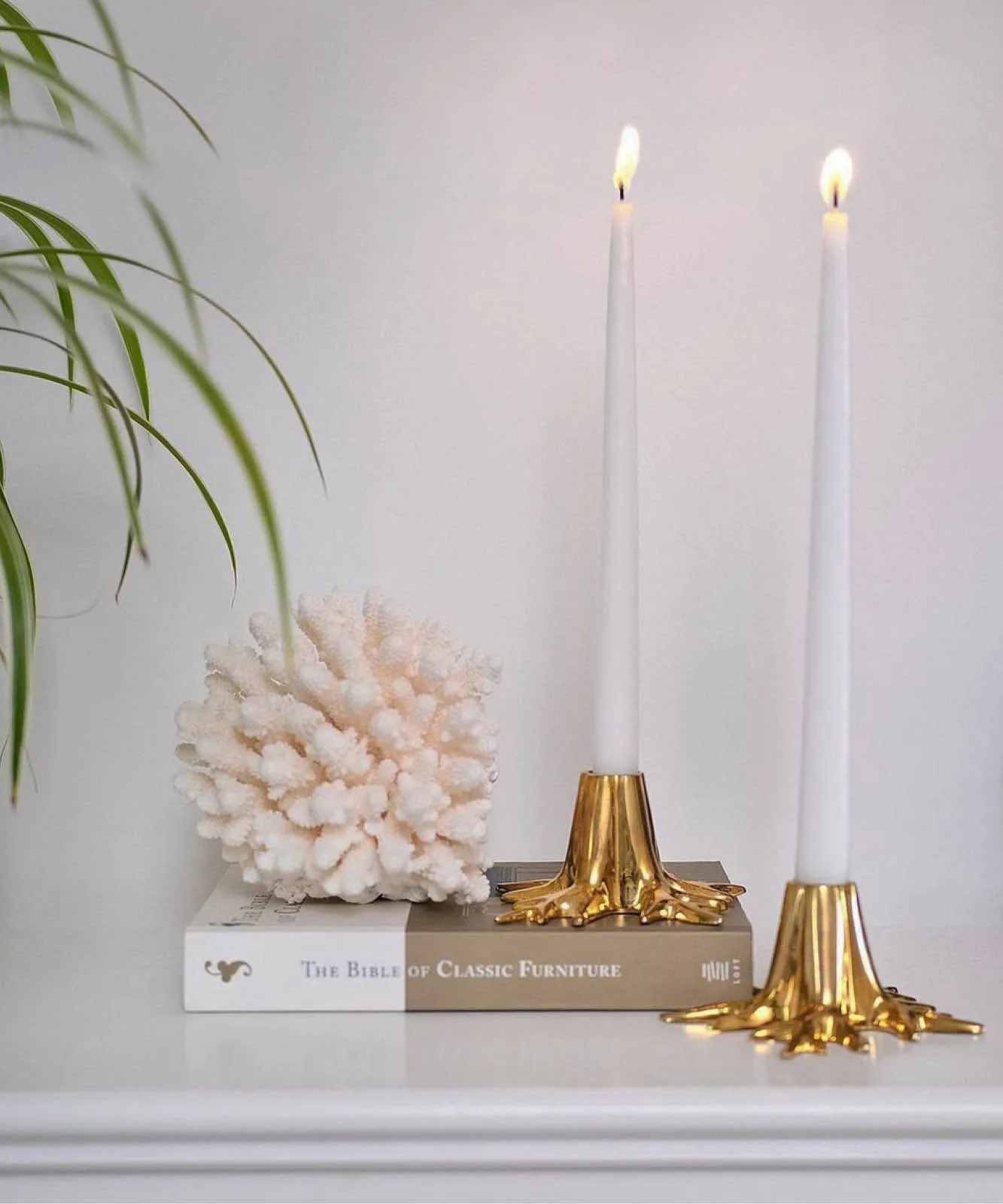 Castiçal Garden Glory The Root, Brass Garden Glory