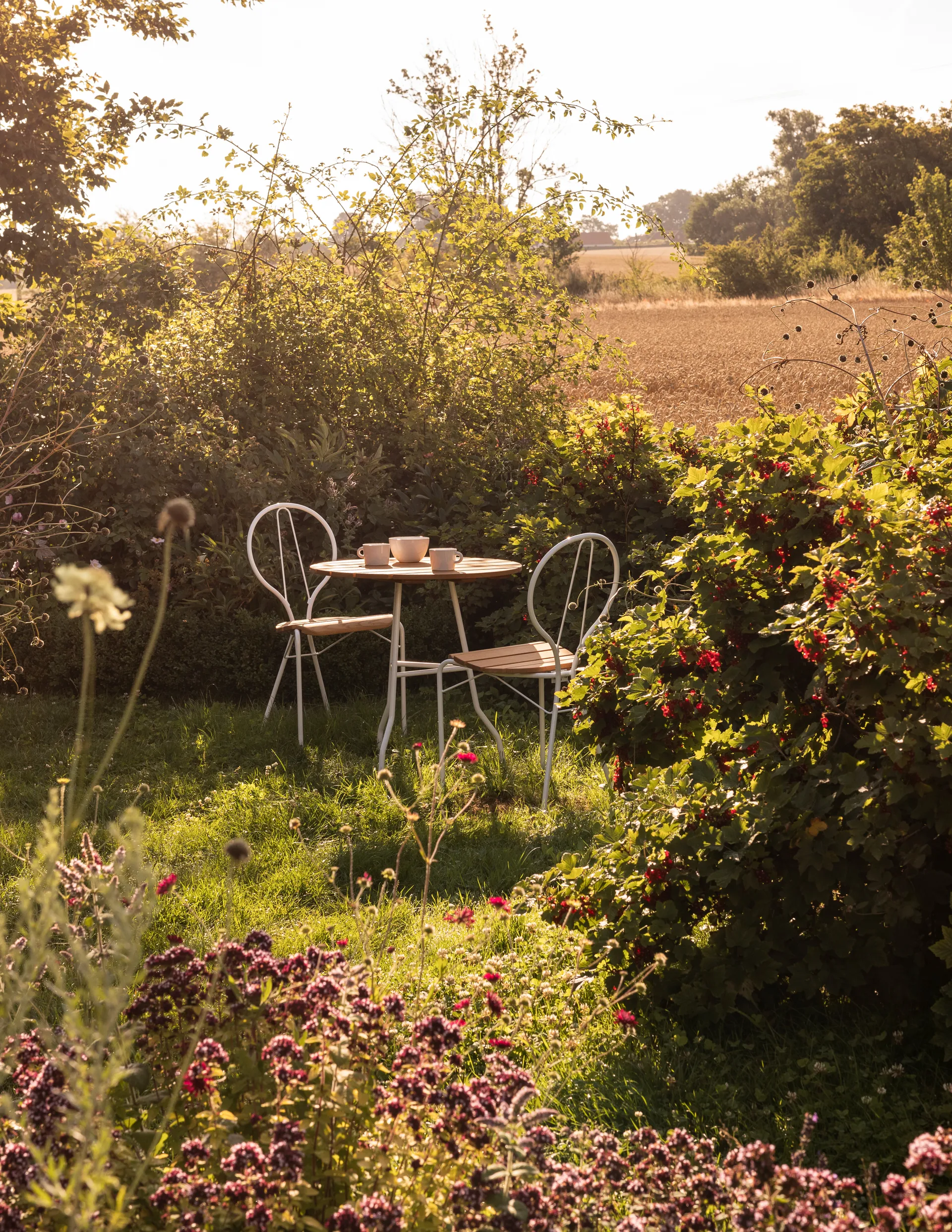 Mesa Pia Ø70 cm, Estrutura de aço branco lacado - carvalho oleado Gärsnäs