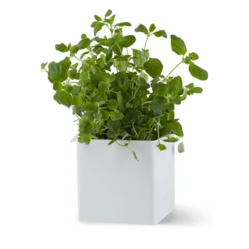 Flex caixa pequena 10,5 cm - branco - Gejst