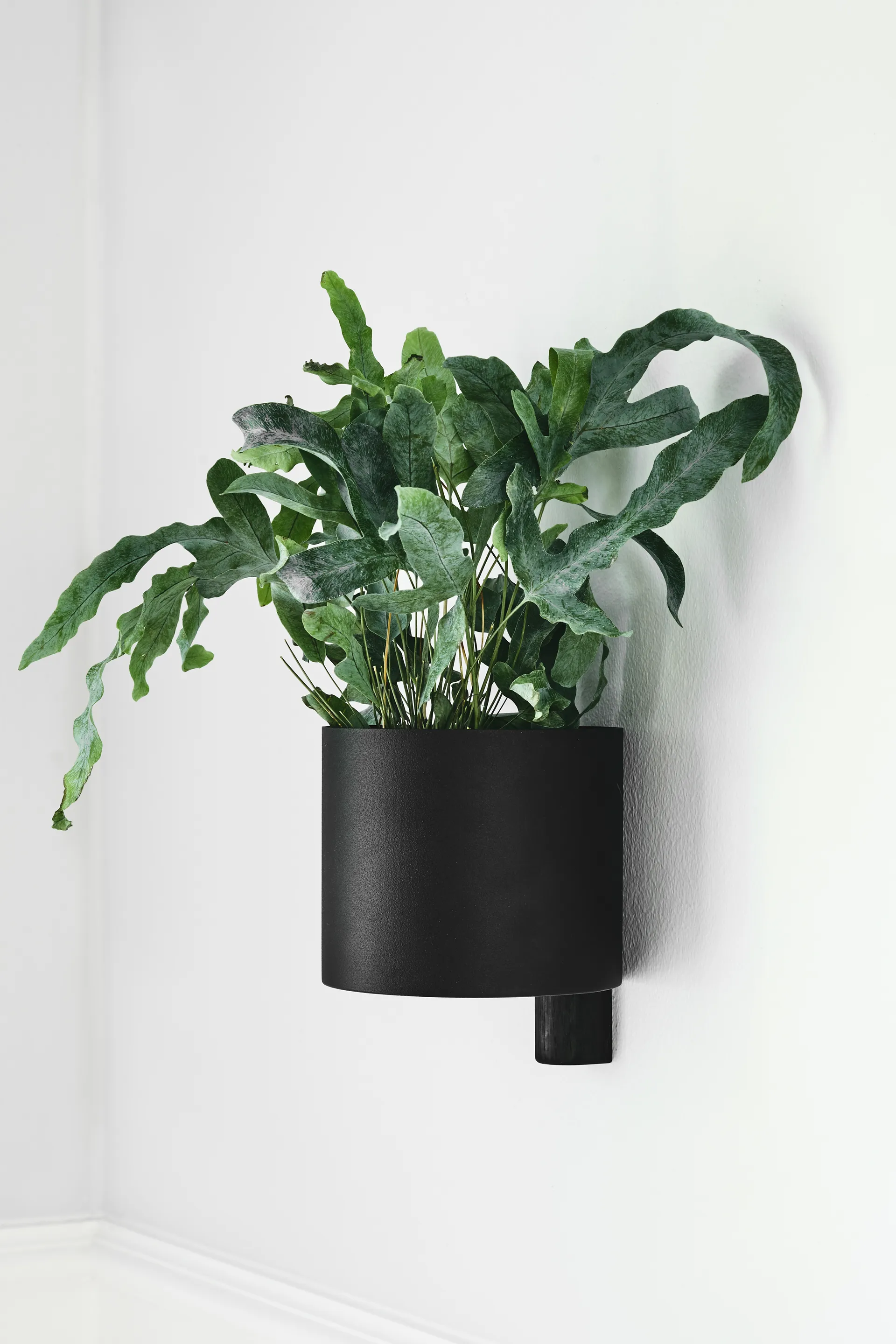 Vaso de flores Kollage Ø14 cm, Preto-carvalho Gejst