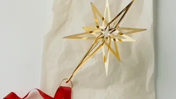 2025 års Lyra estrela de natal - Grande - Georg Jensen