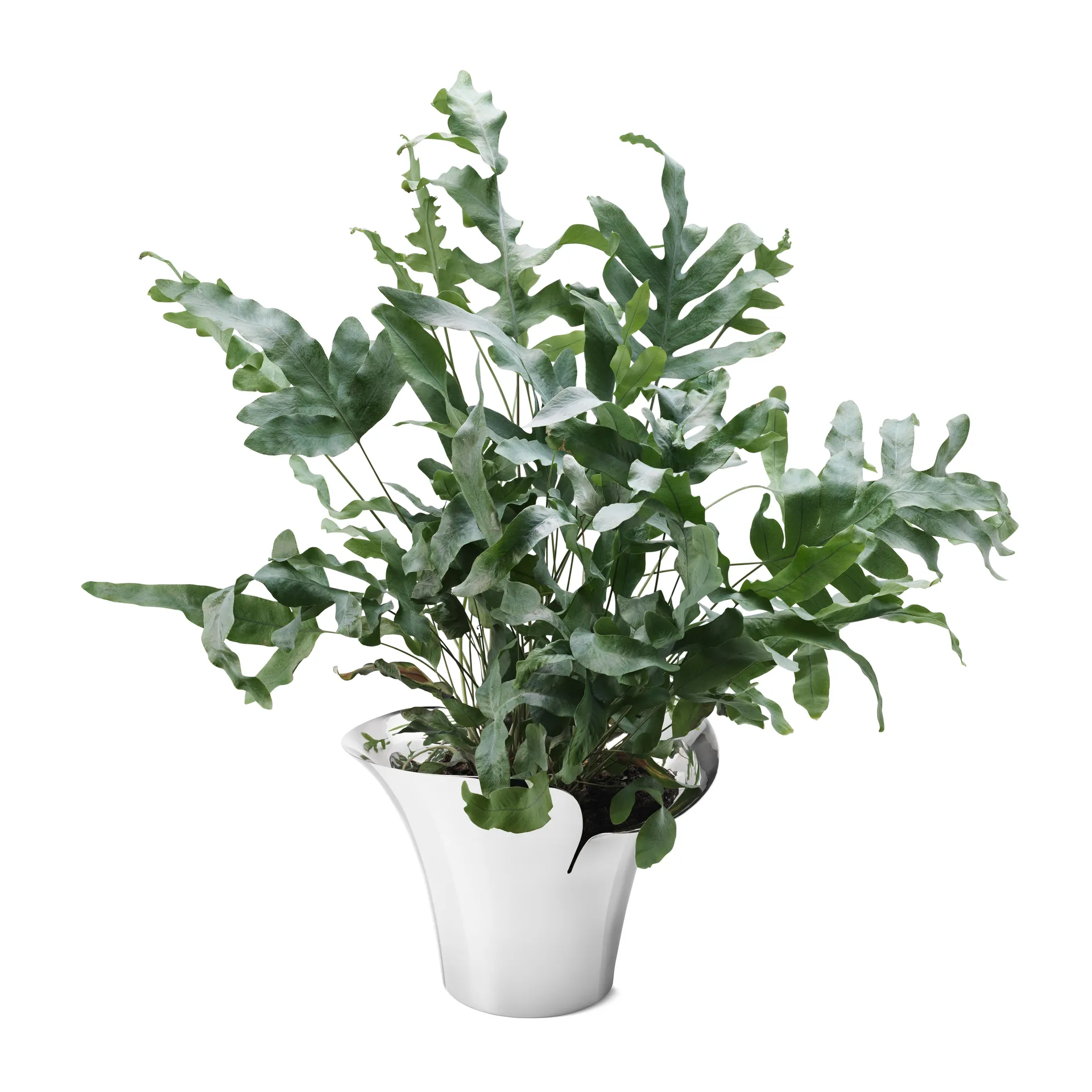 Vaso de flores Bloom Botanica , Ø19 cm Georg Jensen