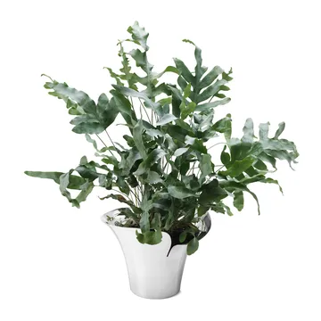 Vaso de flores Bloom Botanica  - Ø19 cm - Georg Jensen